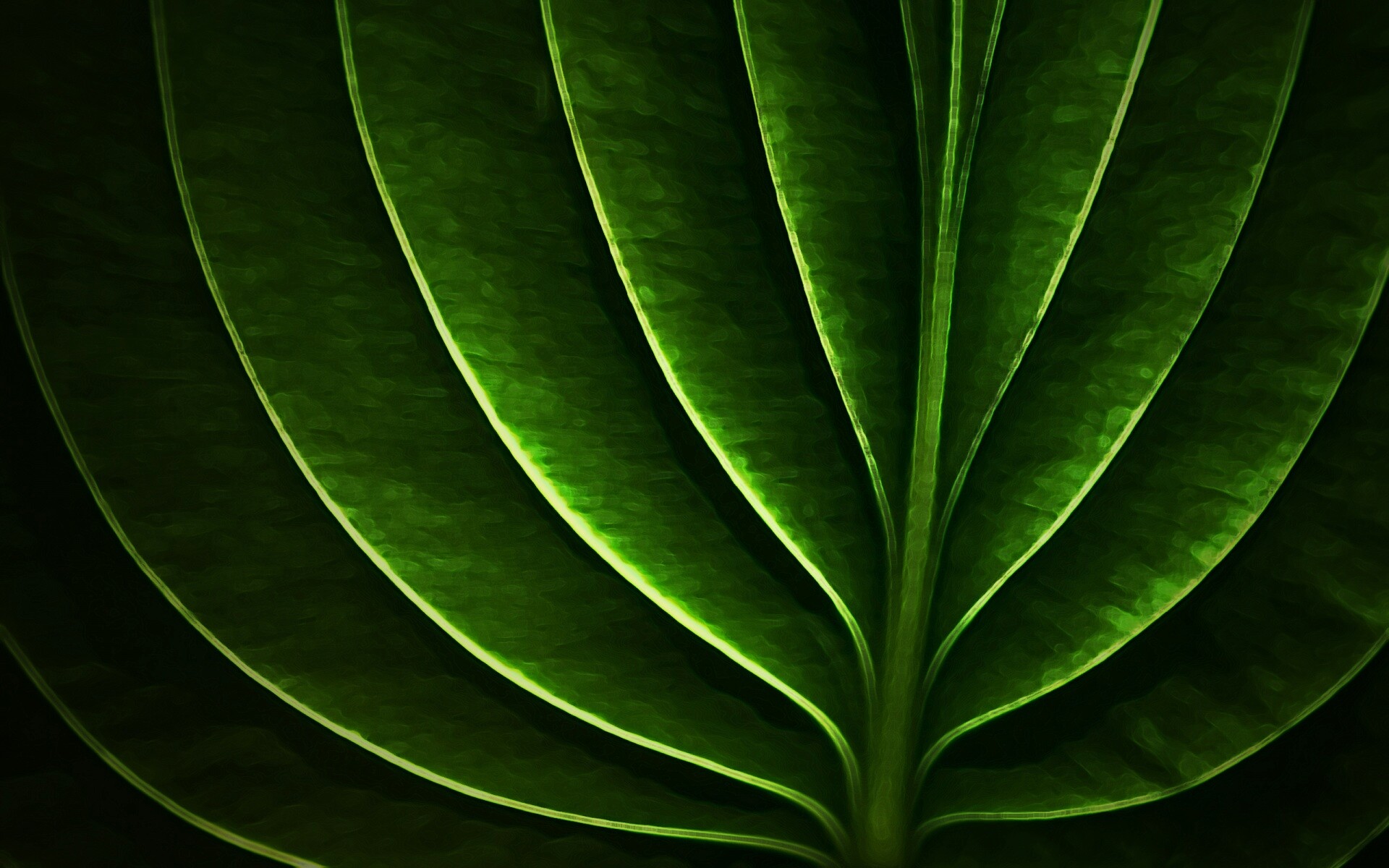 Неоновый лист обои