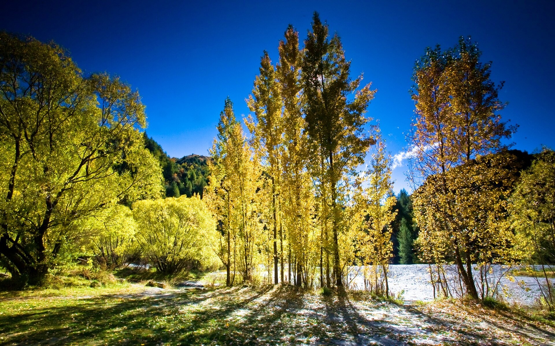 Осень в Новой Зеландии обои