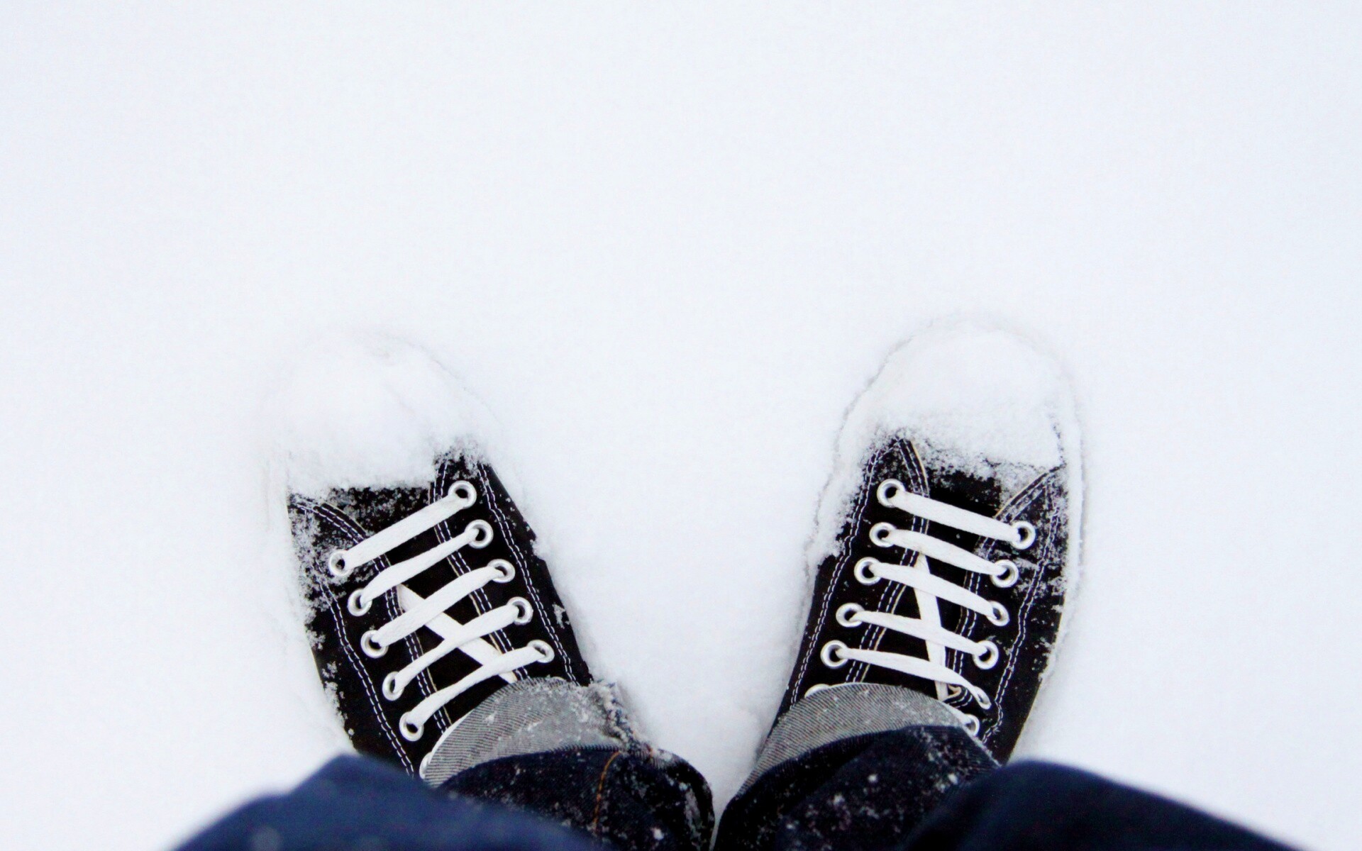 Дурак зимой в кедах обои