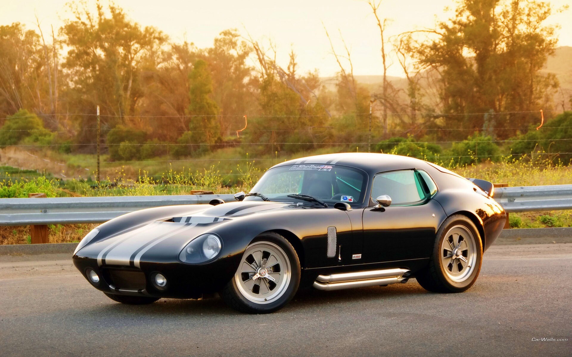 Shelby Daytona обои