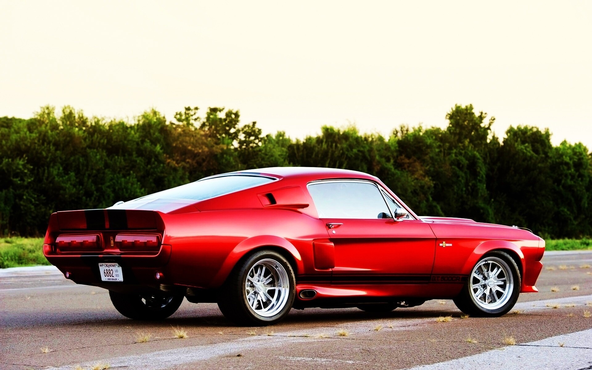 Shelby GT500 CR обои