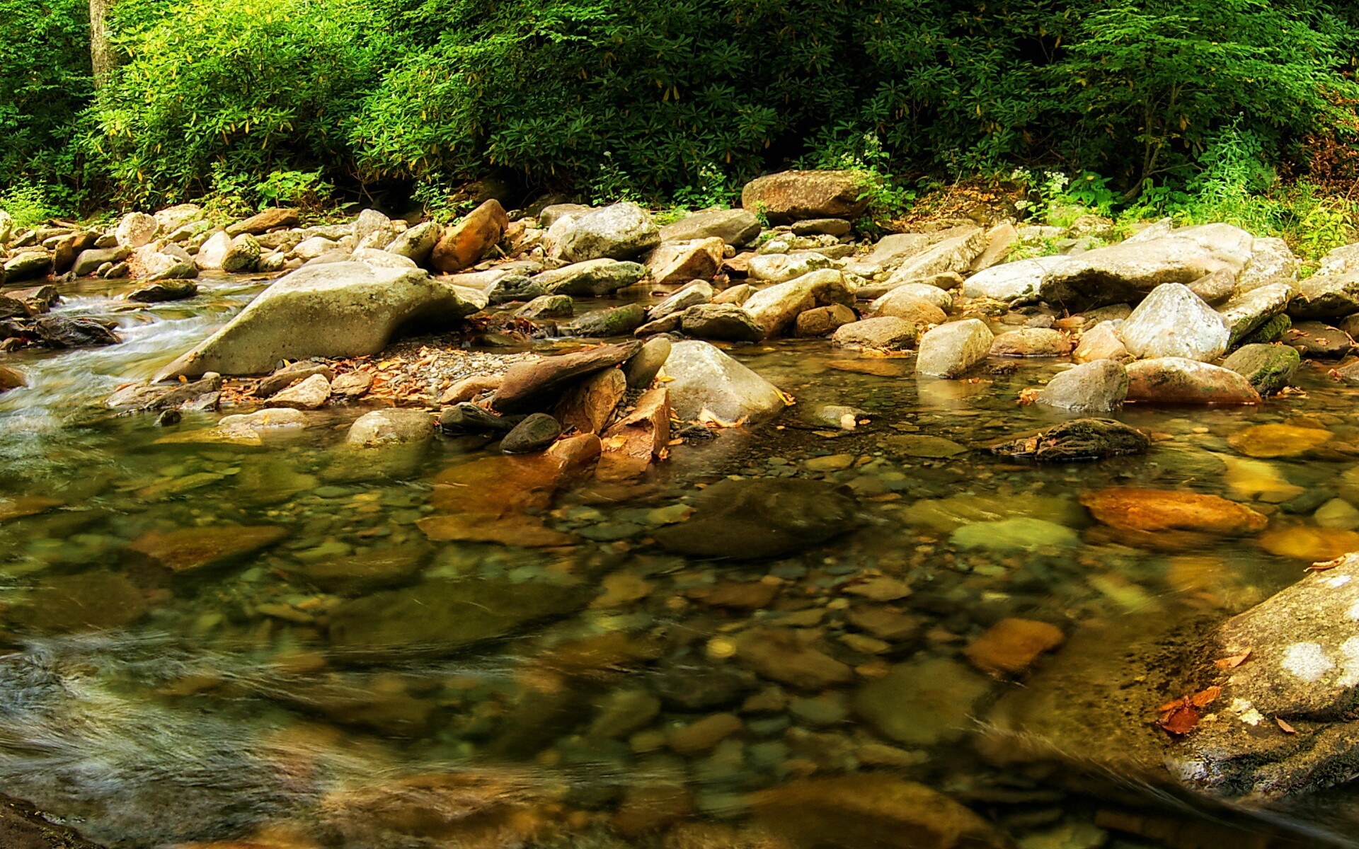 Гораня река обои