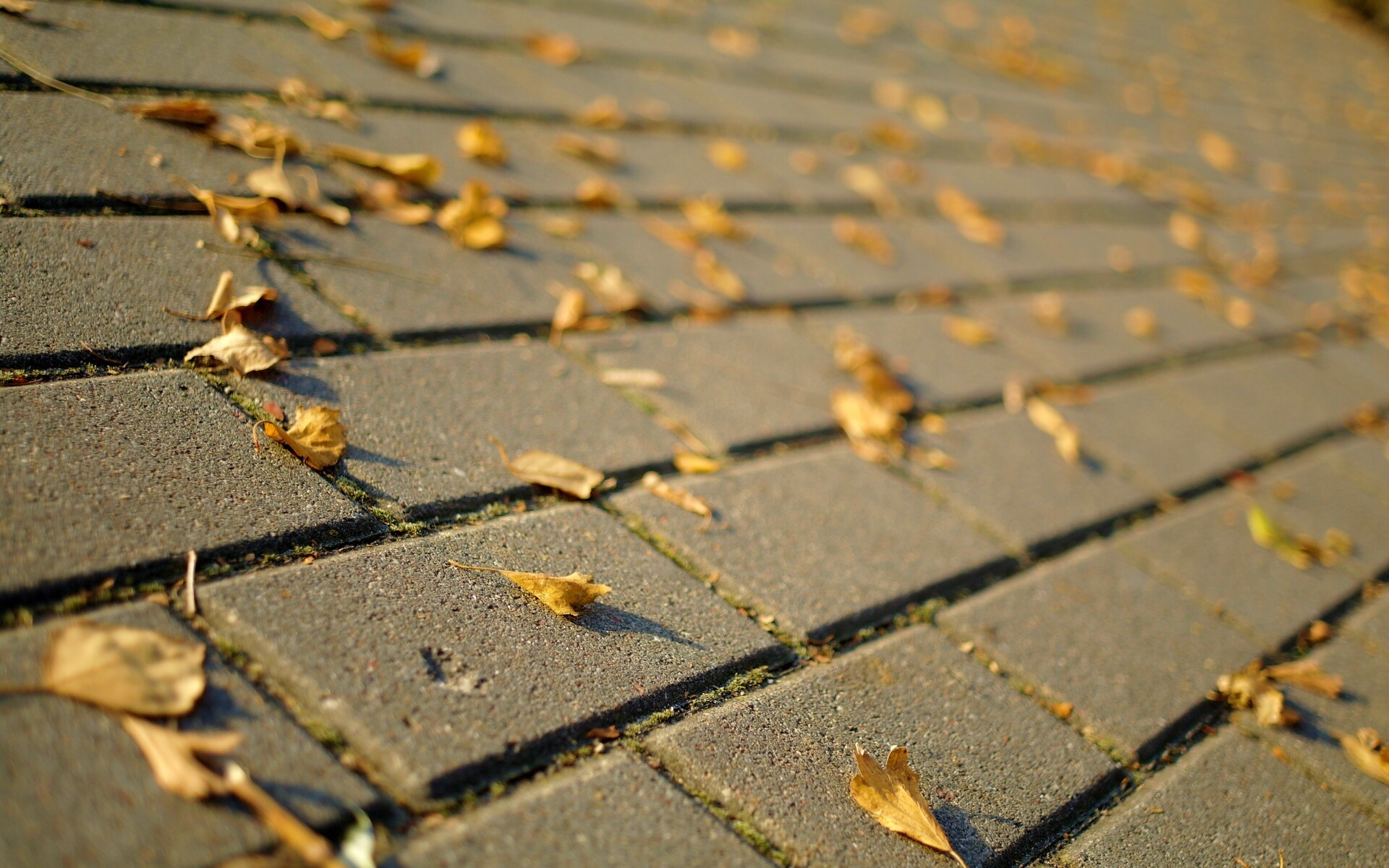 Тротуар обои