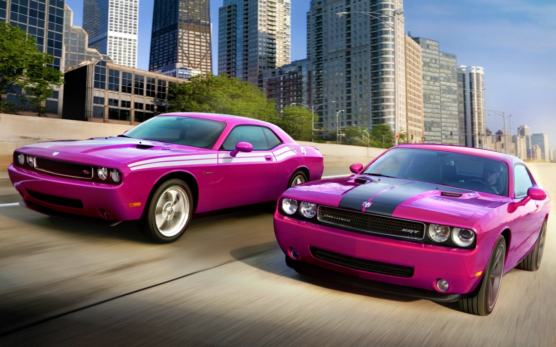 Два розовых мускулкара обои