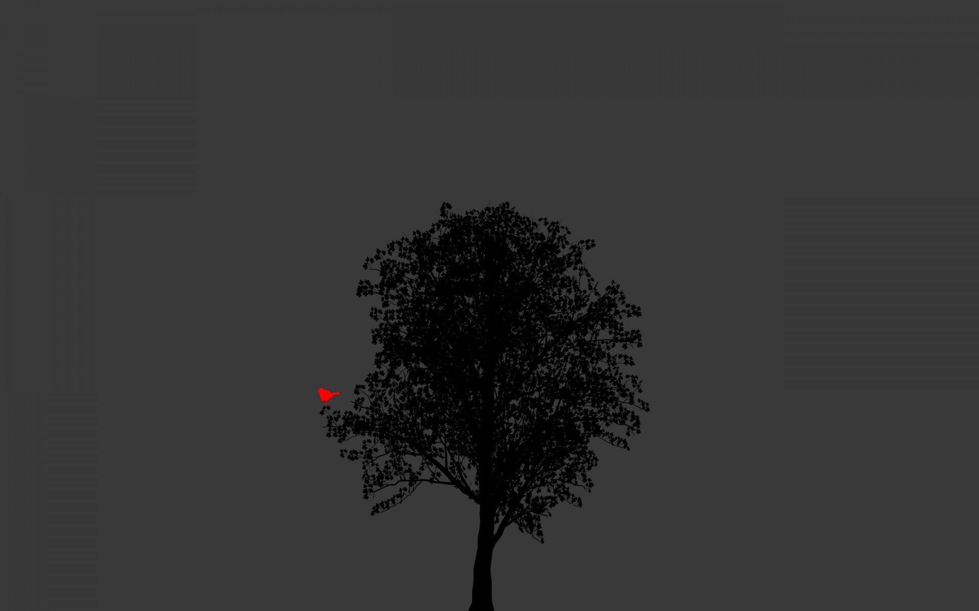 Дерево и птица обои