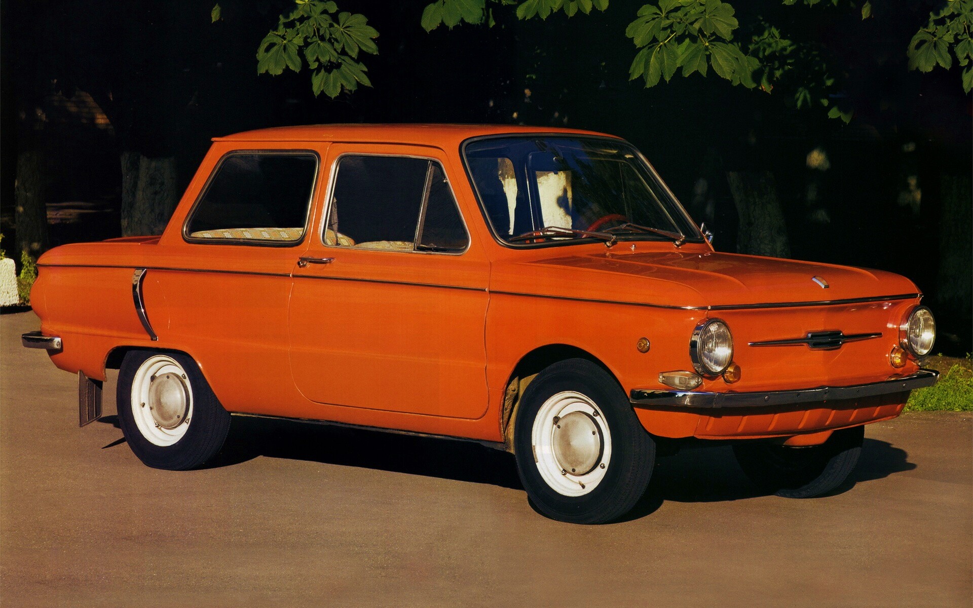 Оранжевый ушастый запорожец обои