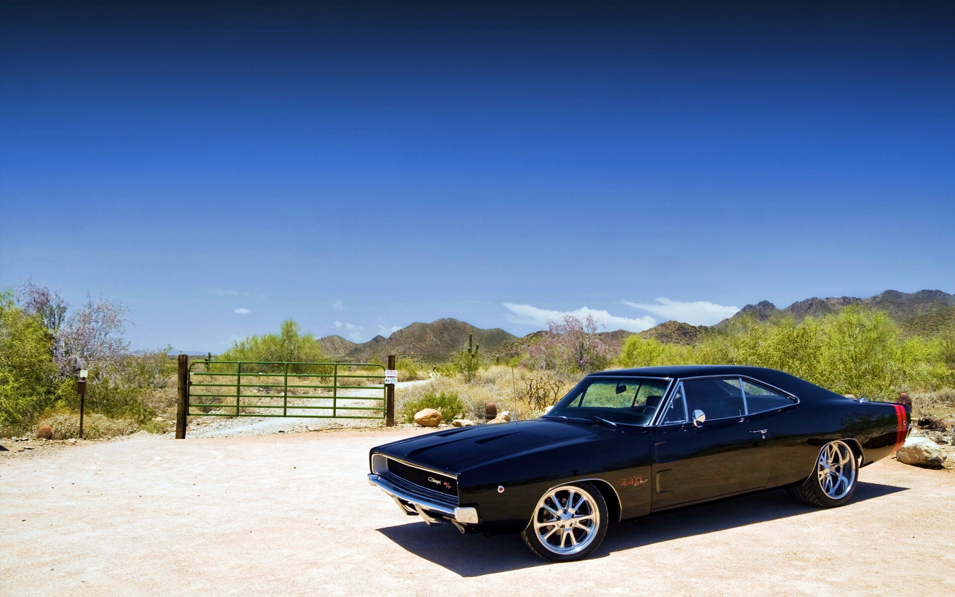 Мускулкар под палящим солнцем обои