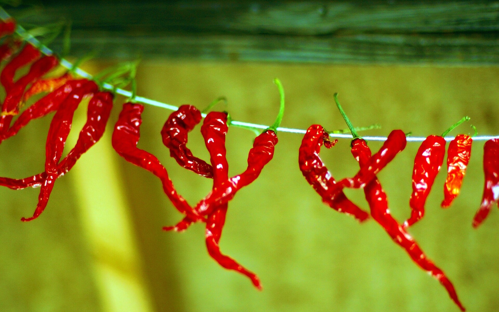 Перчики чили обои
