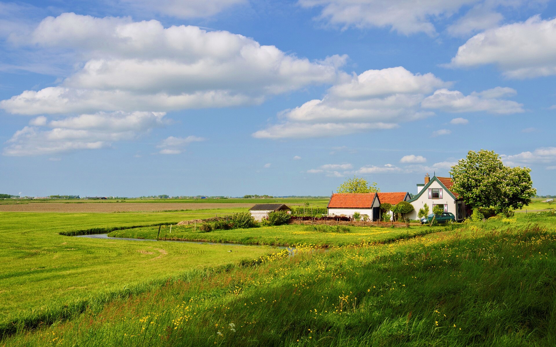 дом на лугу обои