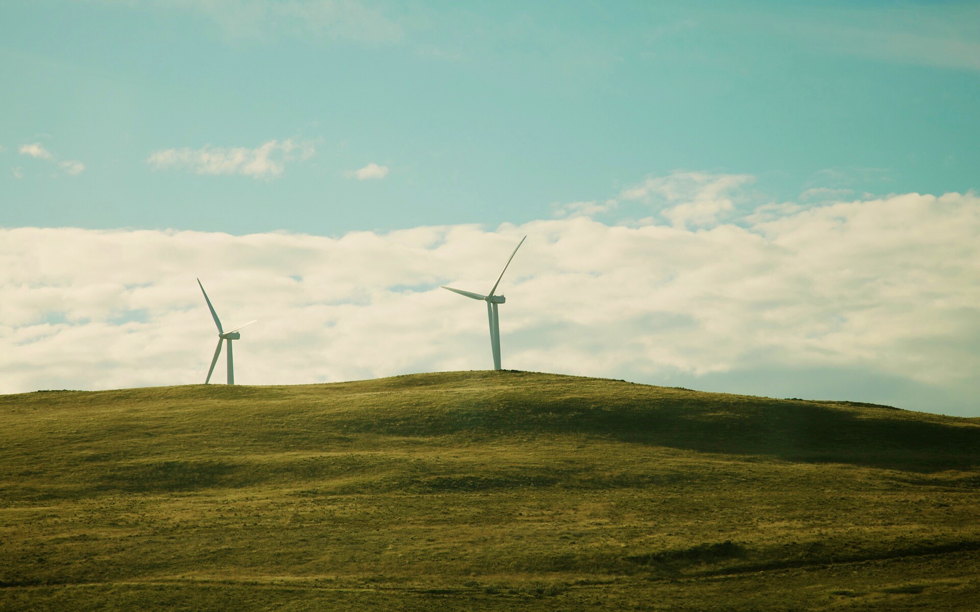 Ветряки в поле обои