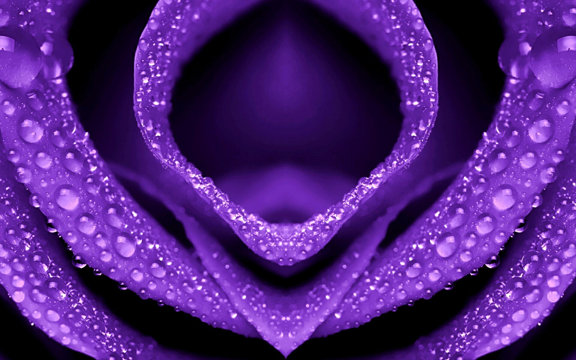 Цветочный зев обои