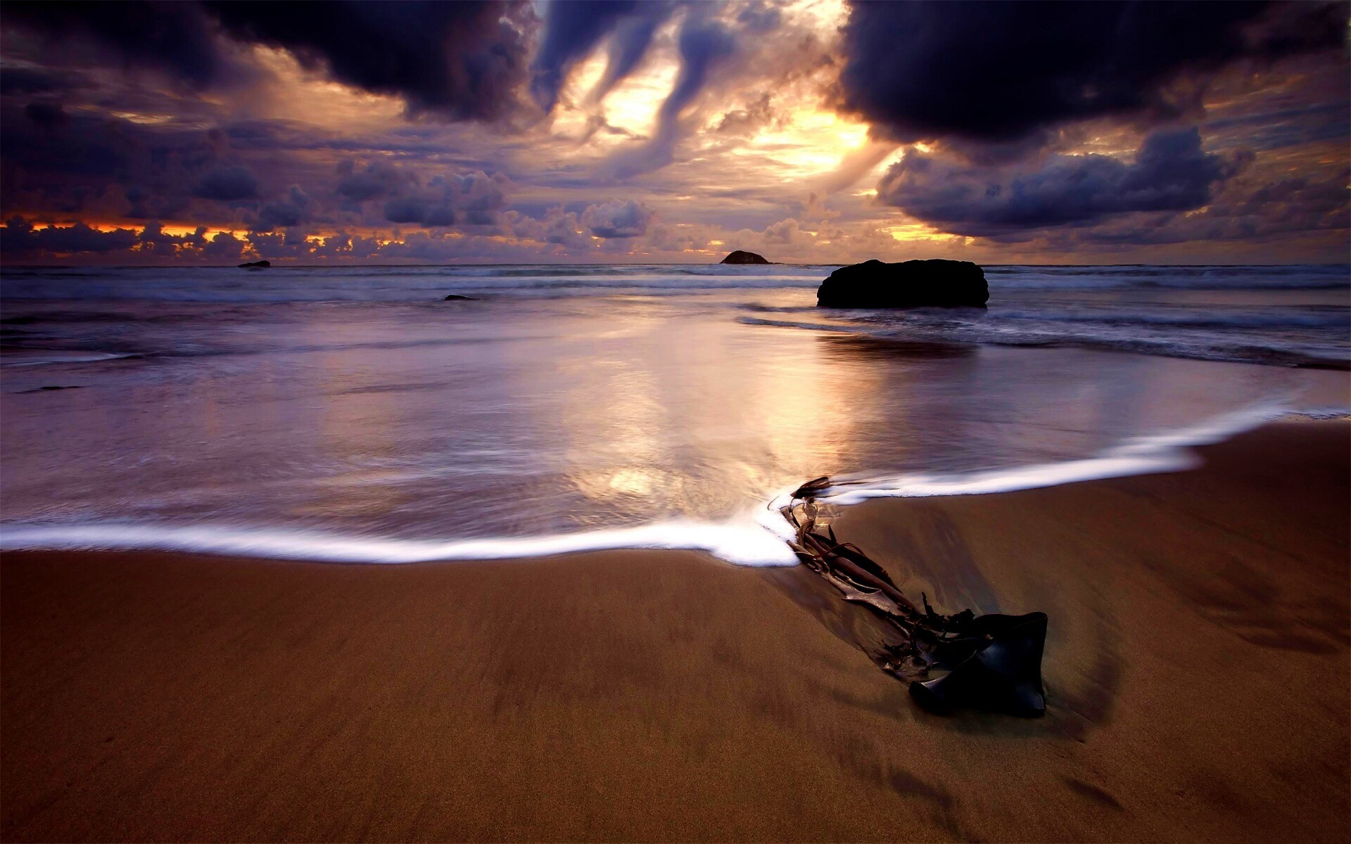 Коряга на пляже обои