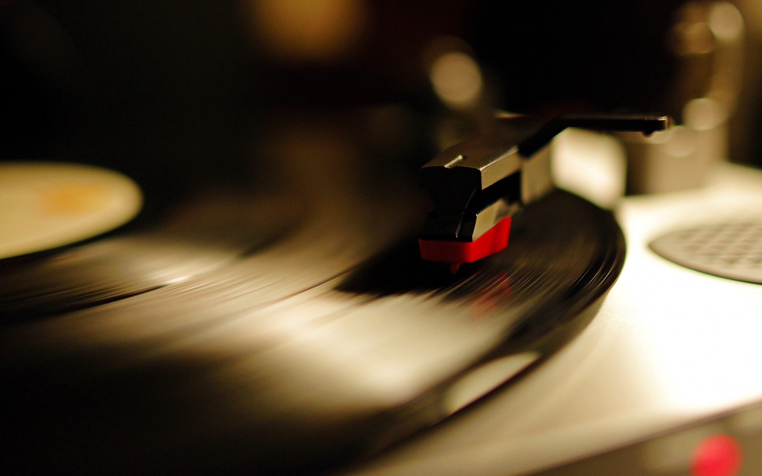 Пластинка обои