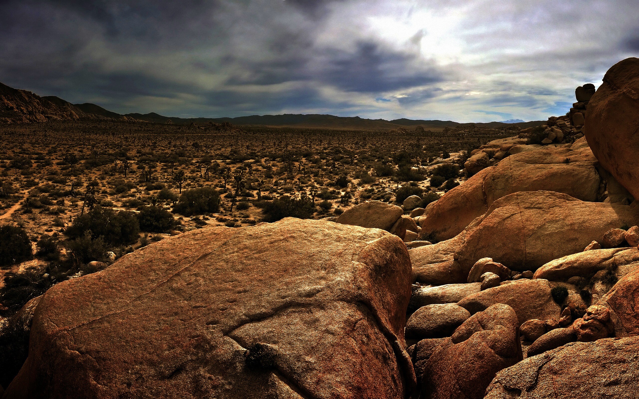 Пустыня Мохаве обои