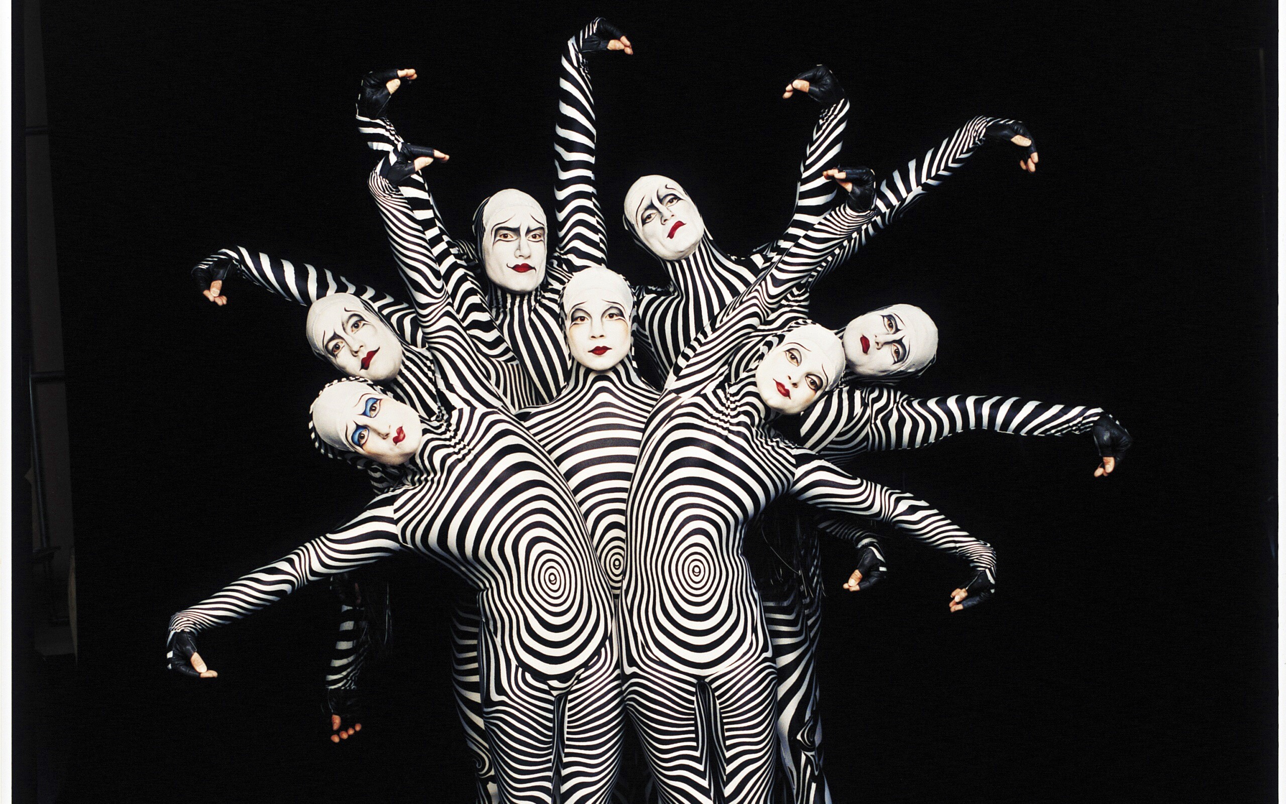 Зеброиды (актеры цирка дю солей) обои