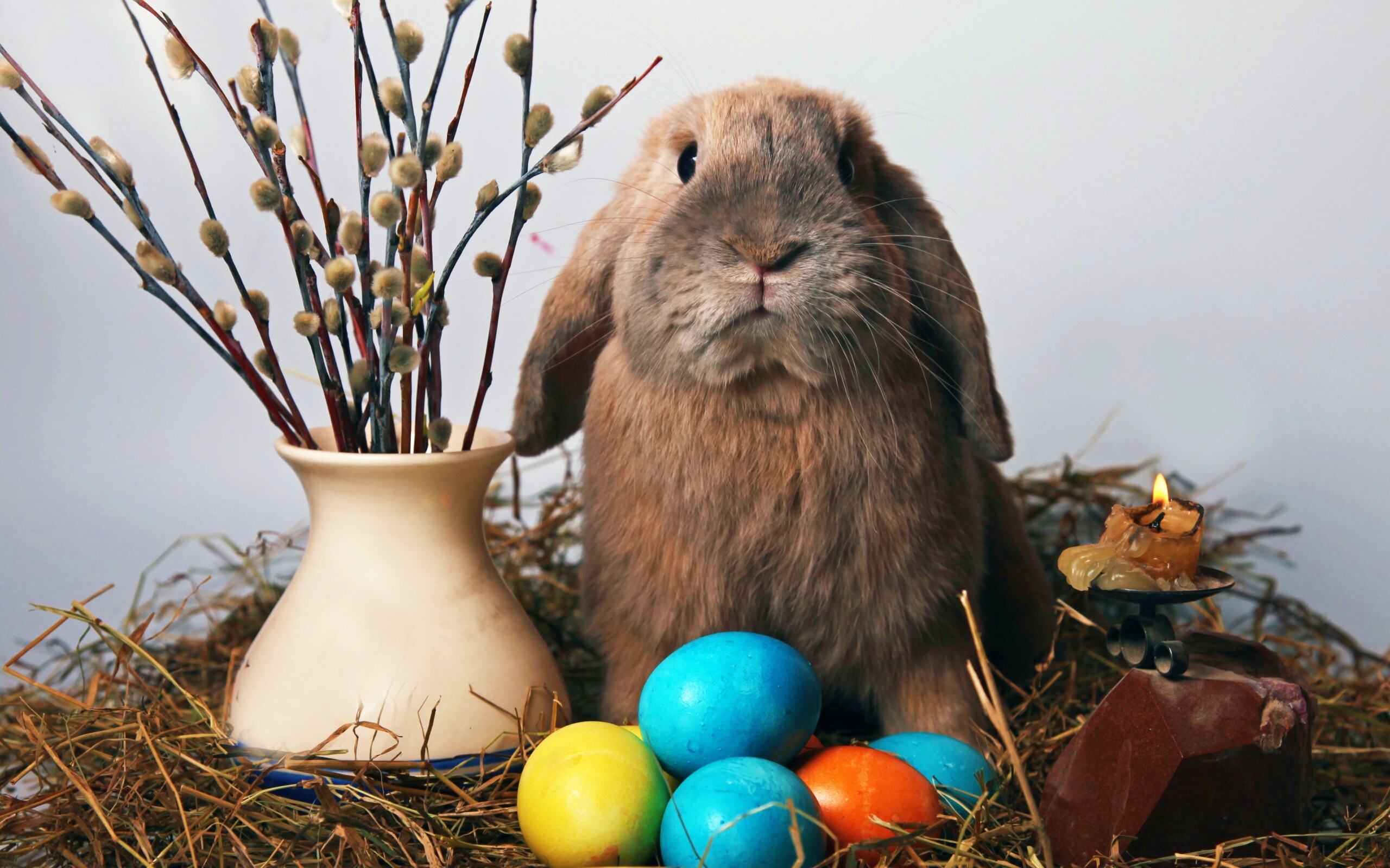Пасхальный кролик обои