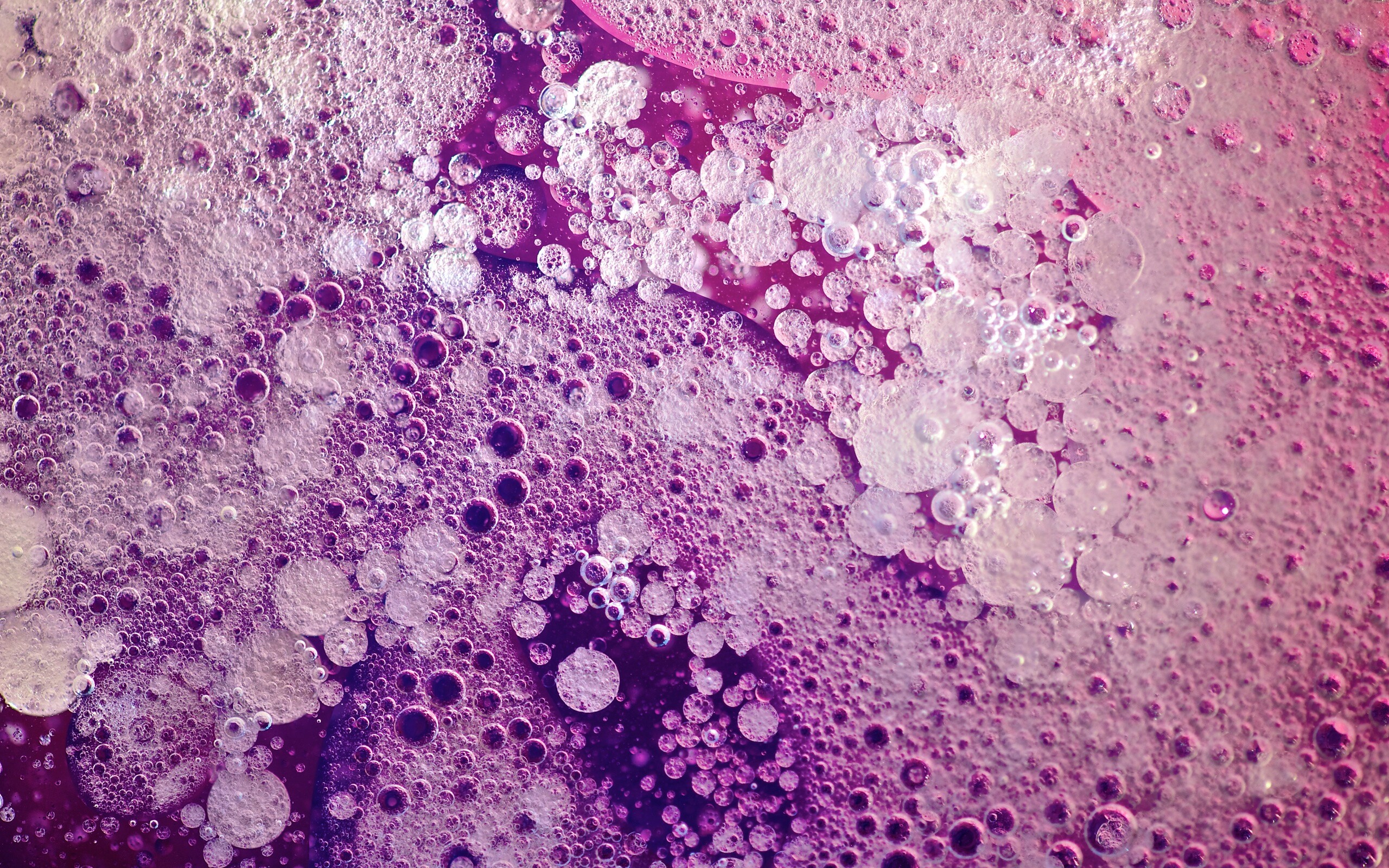 Реакция Вассермана в фиолетовых тонах обои