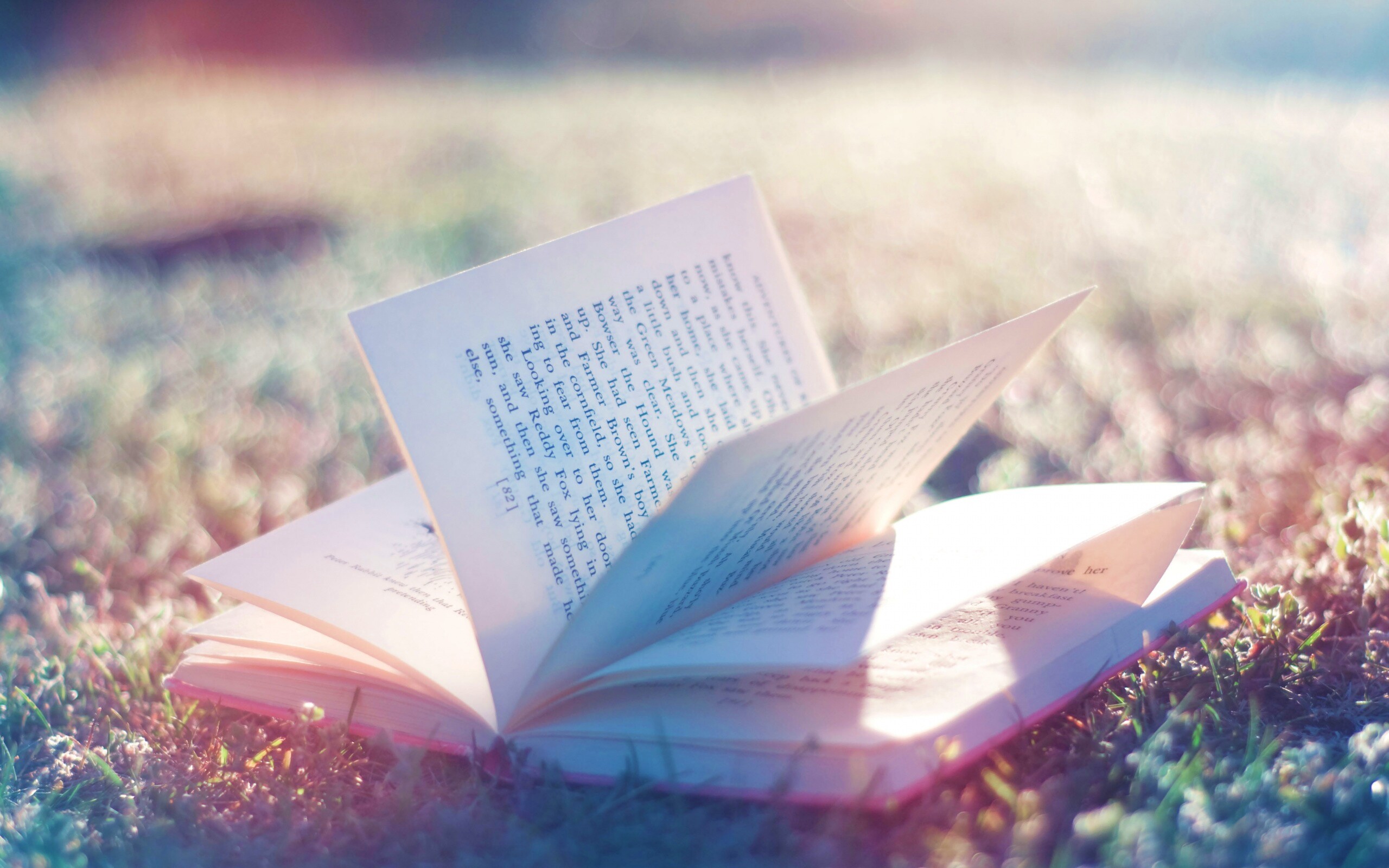 Книга в нежном свете обои