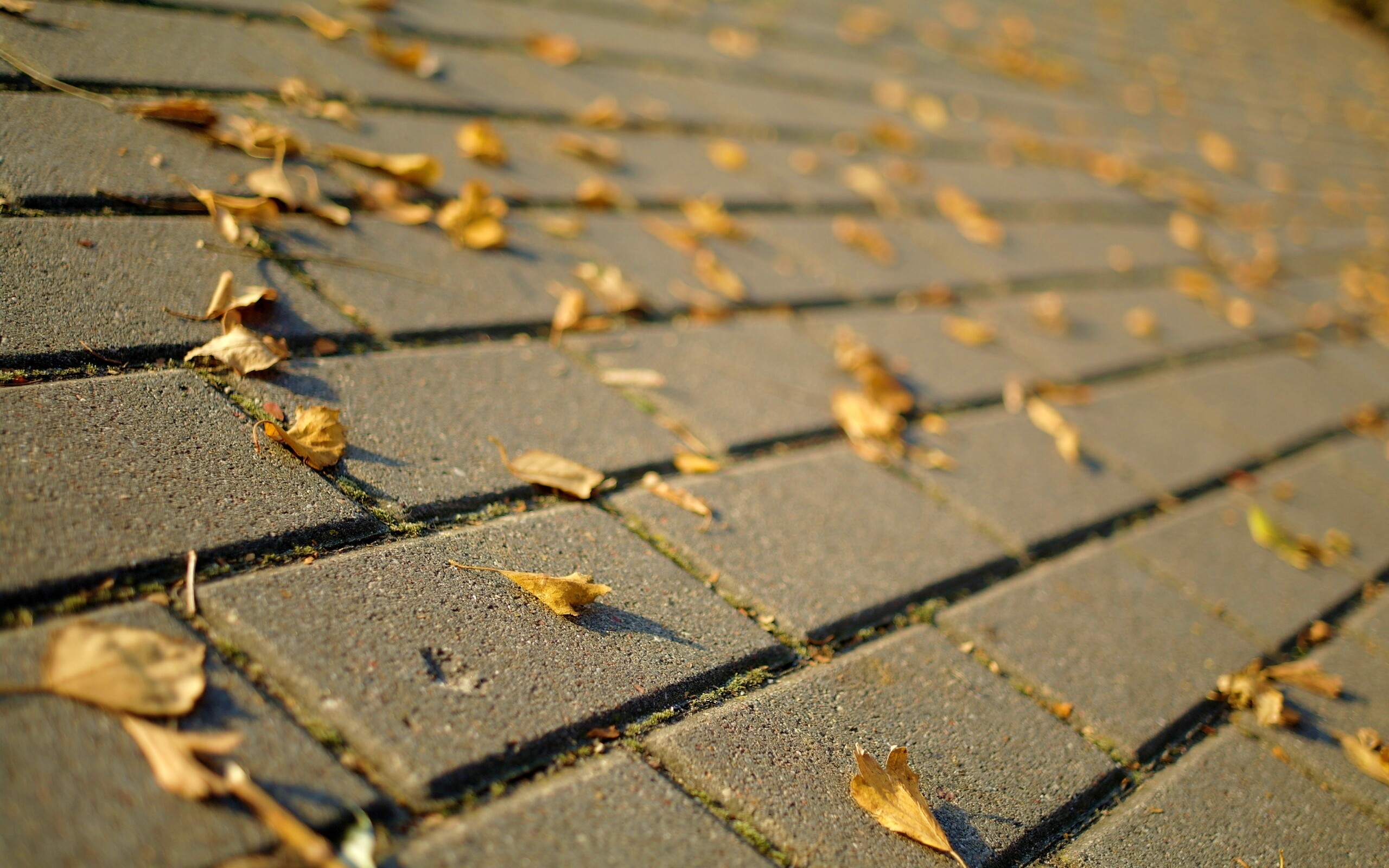 Тротуар обои