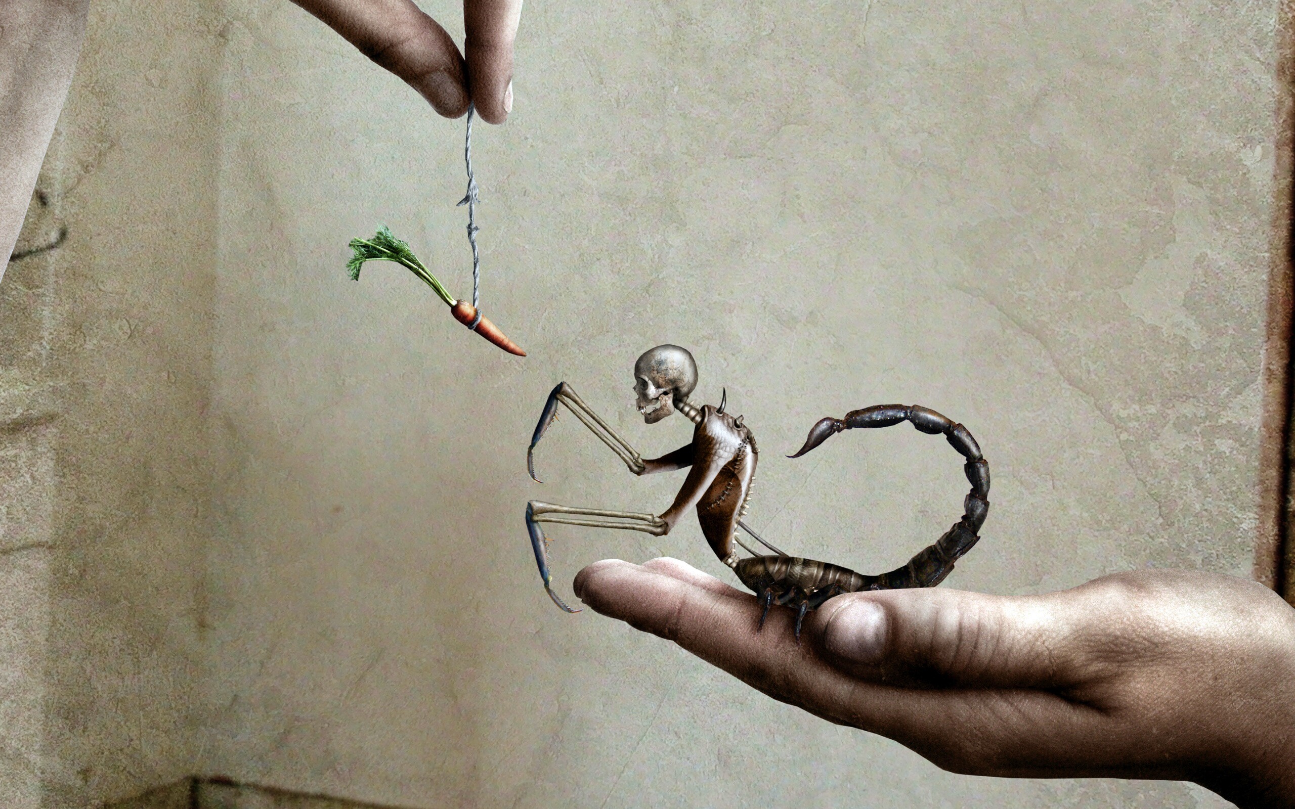 Кормёжка смерти обои