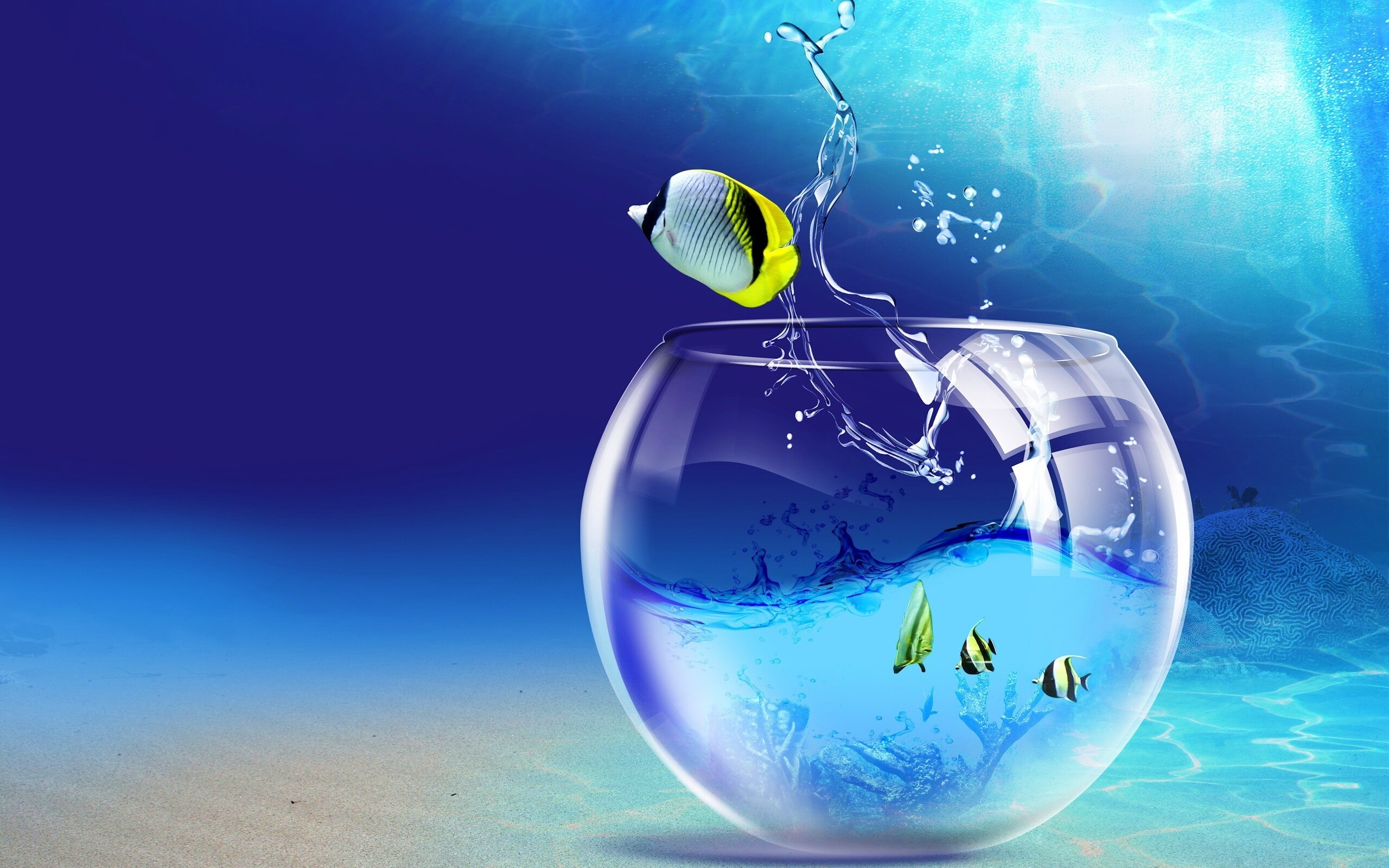 Аквариум с рыбками обои