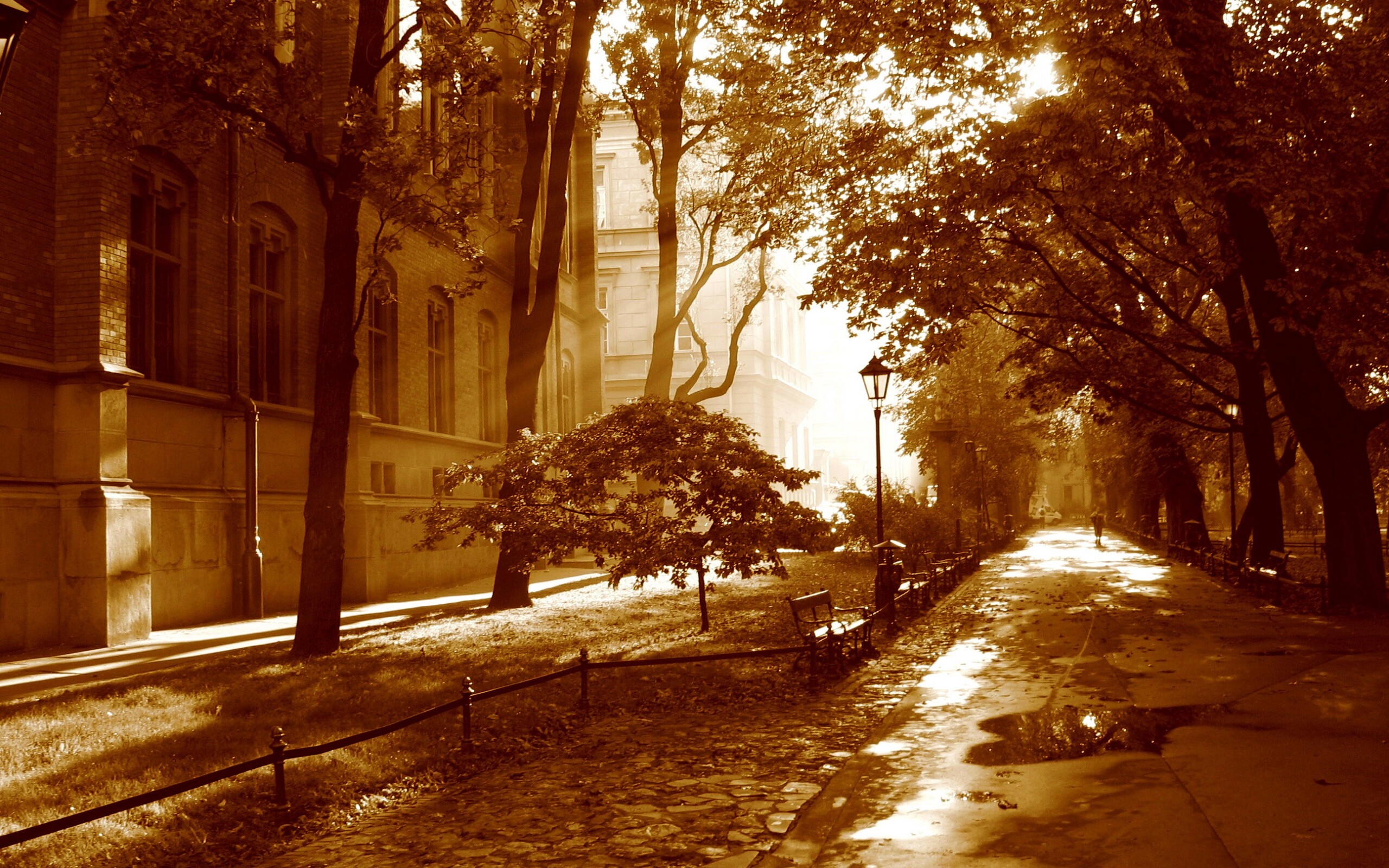 Аллея у здания обои