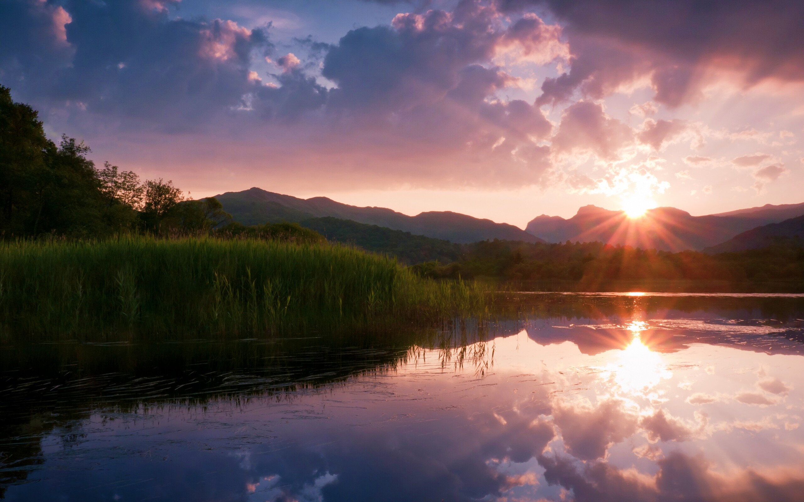 Закат за лесом обои