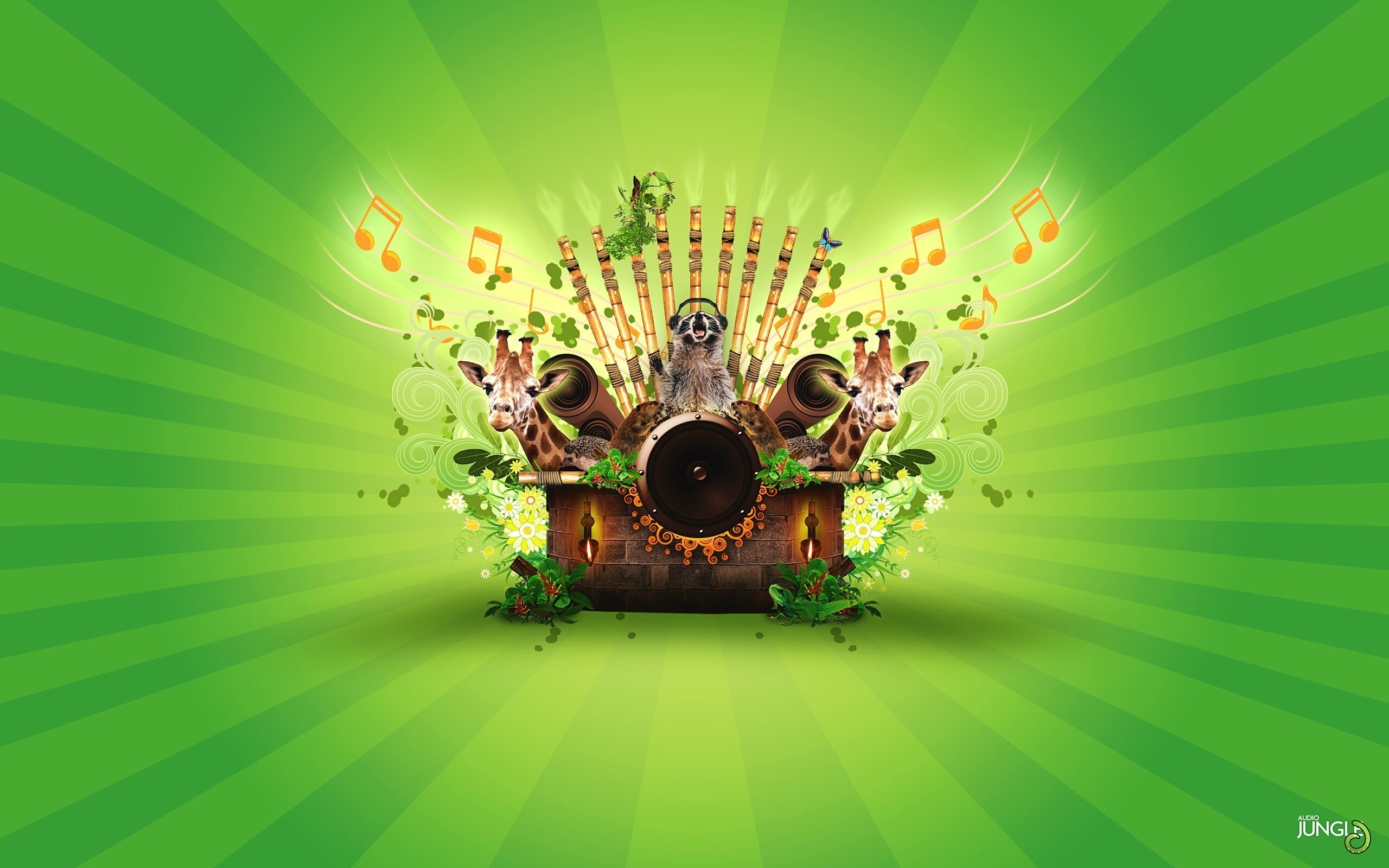 Музыка джунглей обои