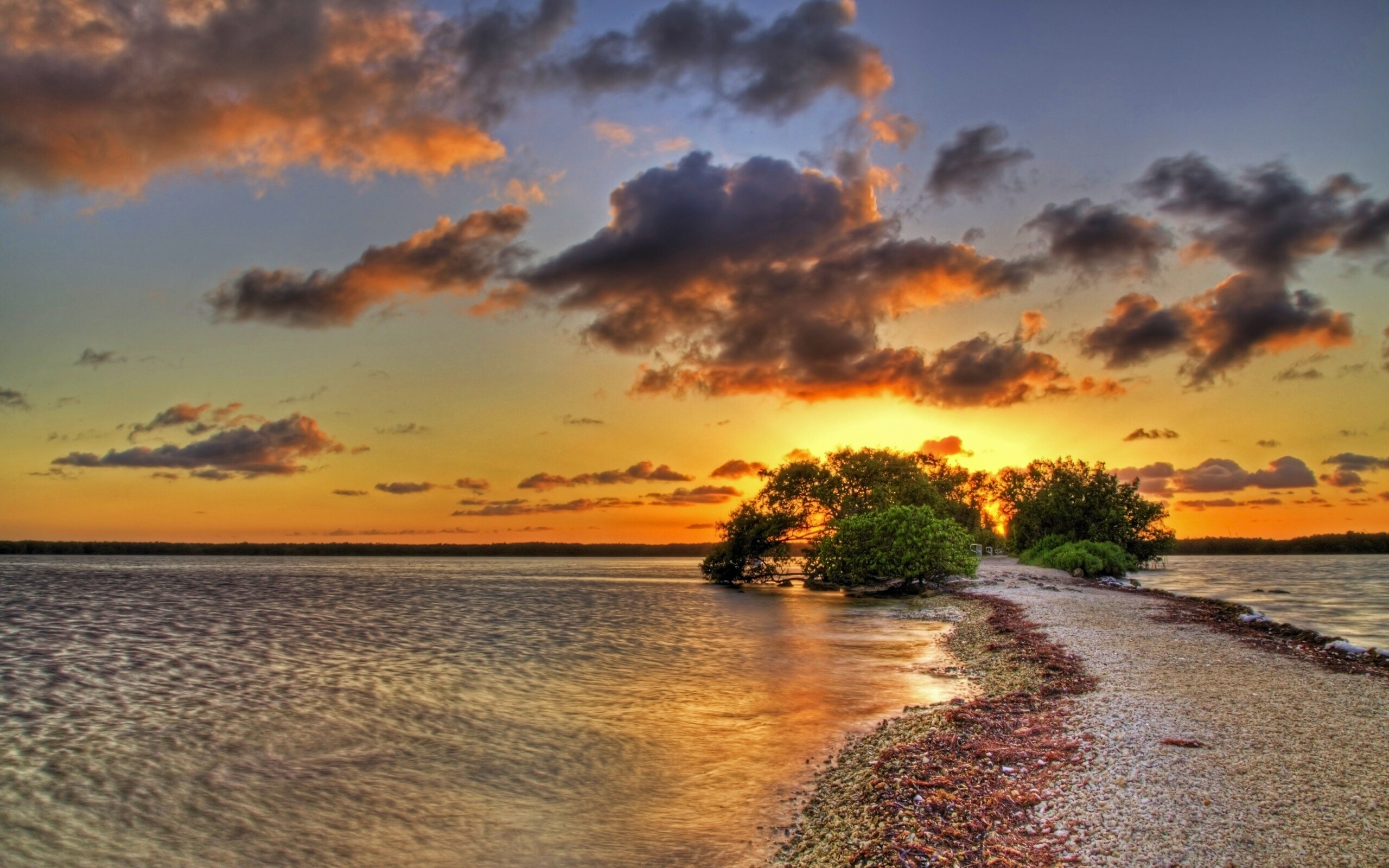Побережье на закате обои