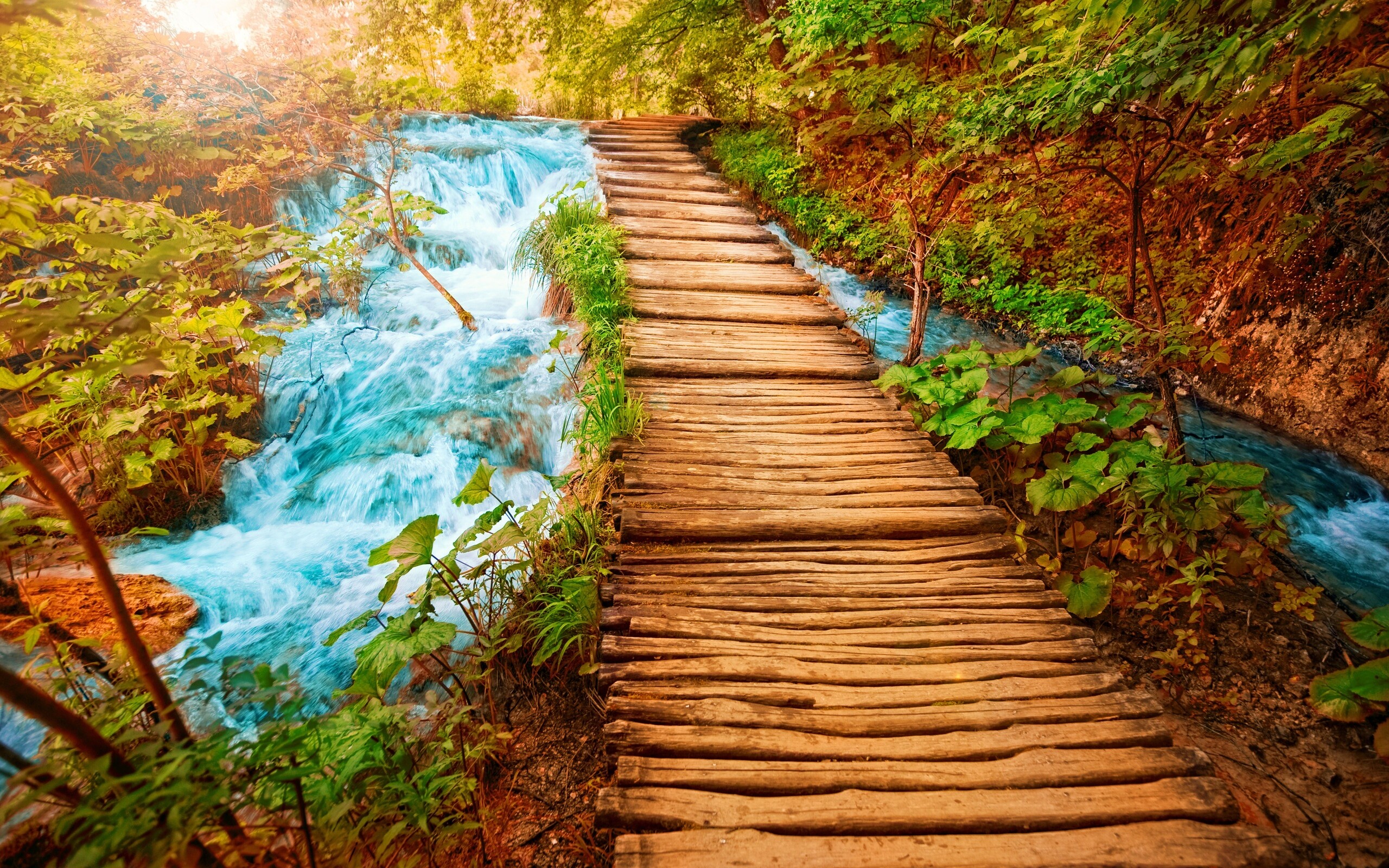 Деревянная дорожка над ручьем обои
