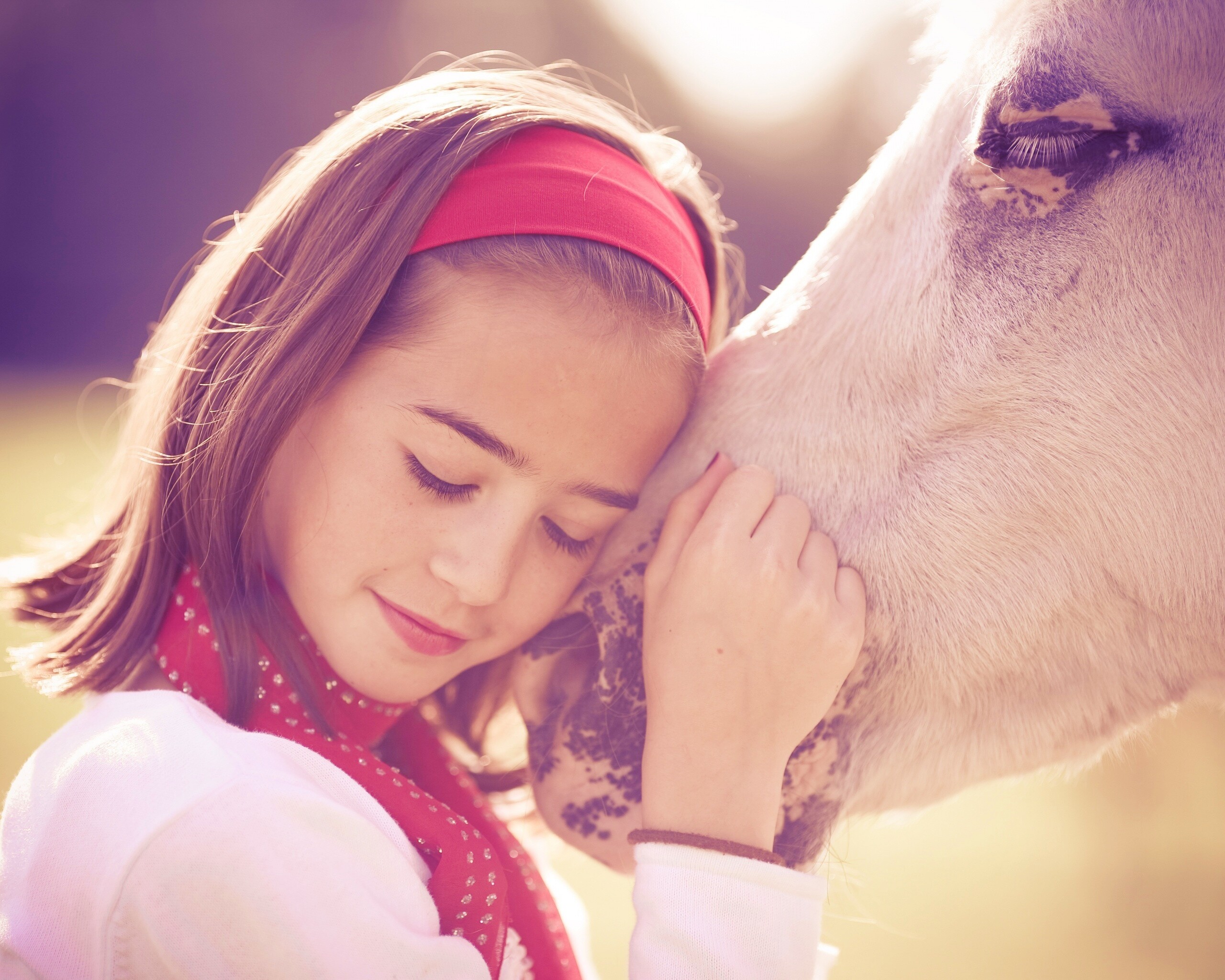 Девочка и лошадь обои