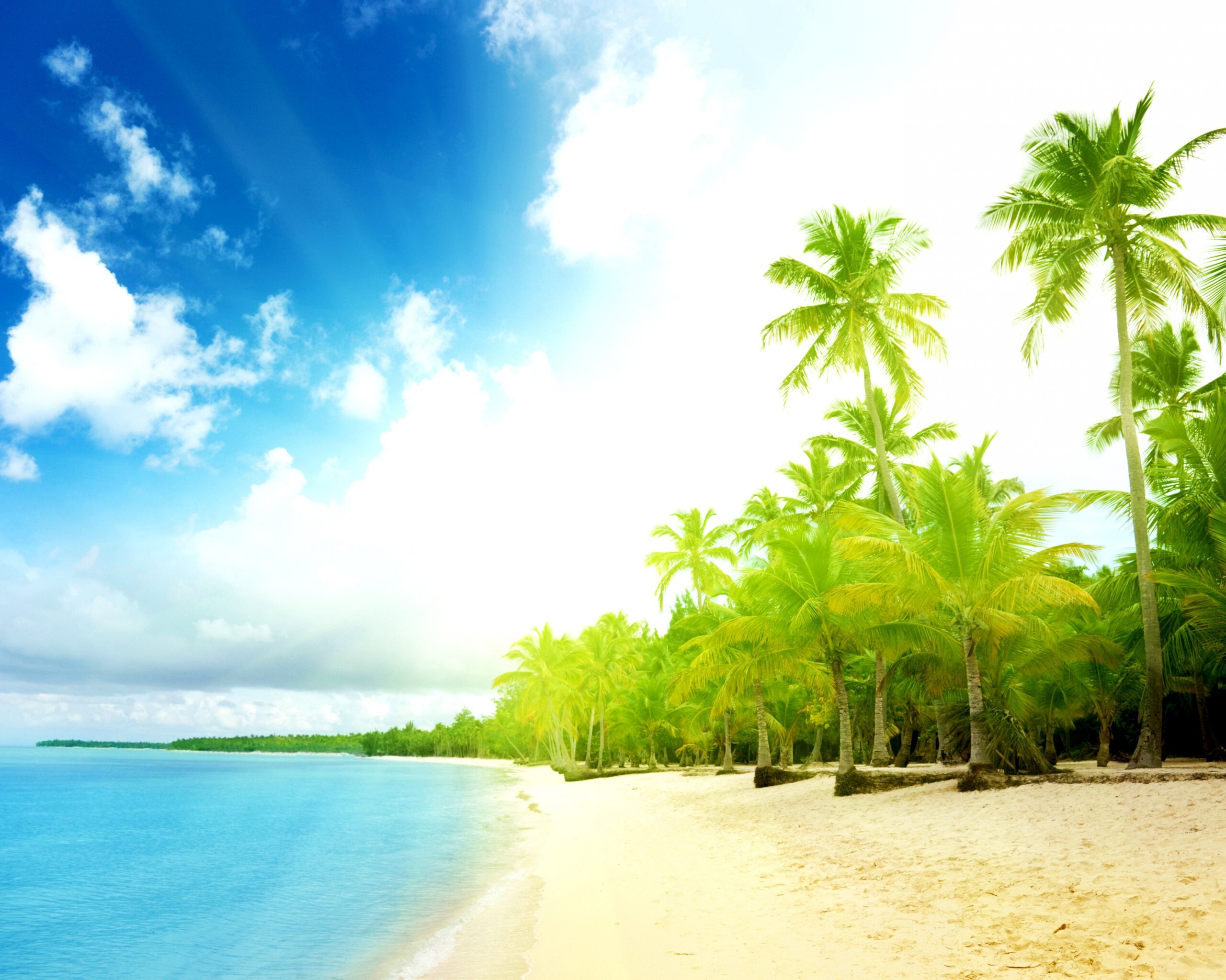 Тропическое побережье обои