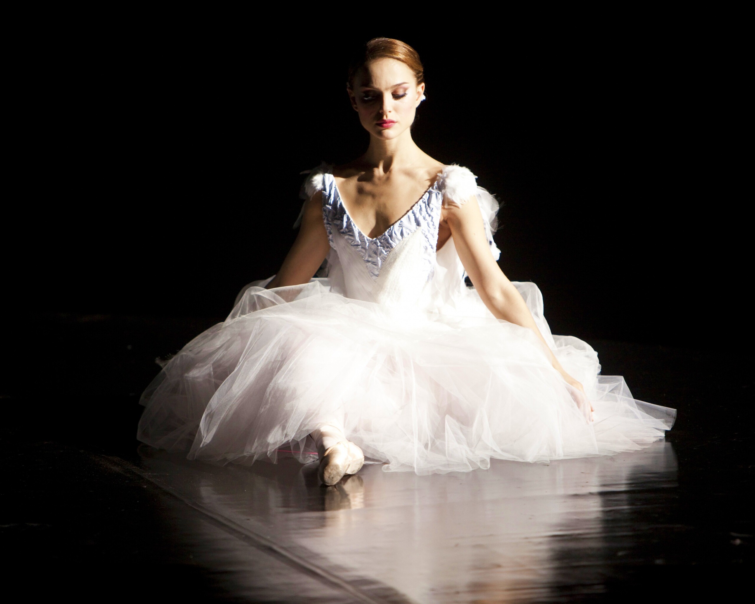 Черный лебедь обои