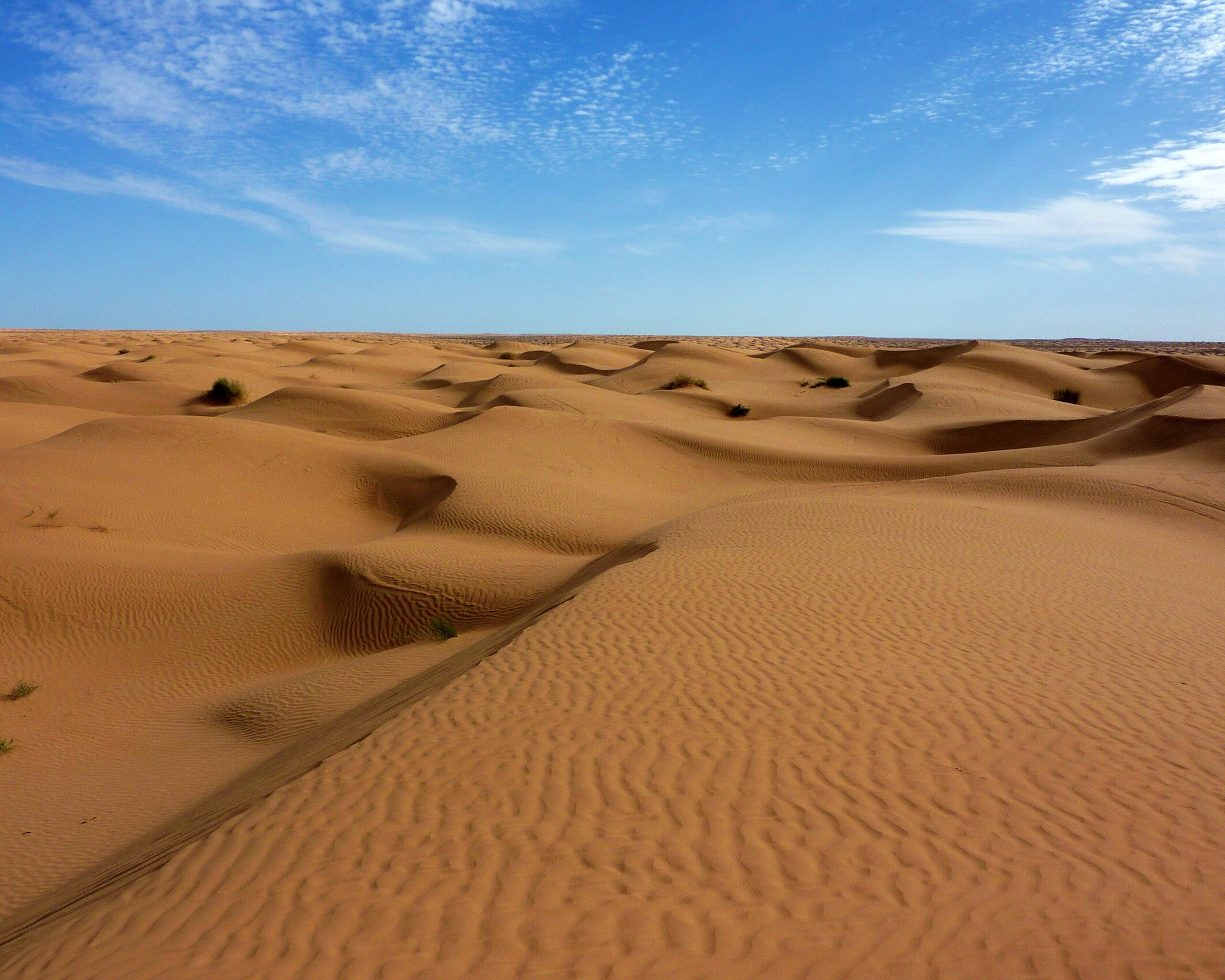 Пустыня до самого горизонта обои