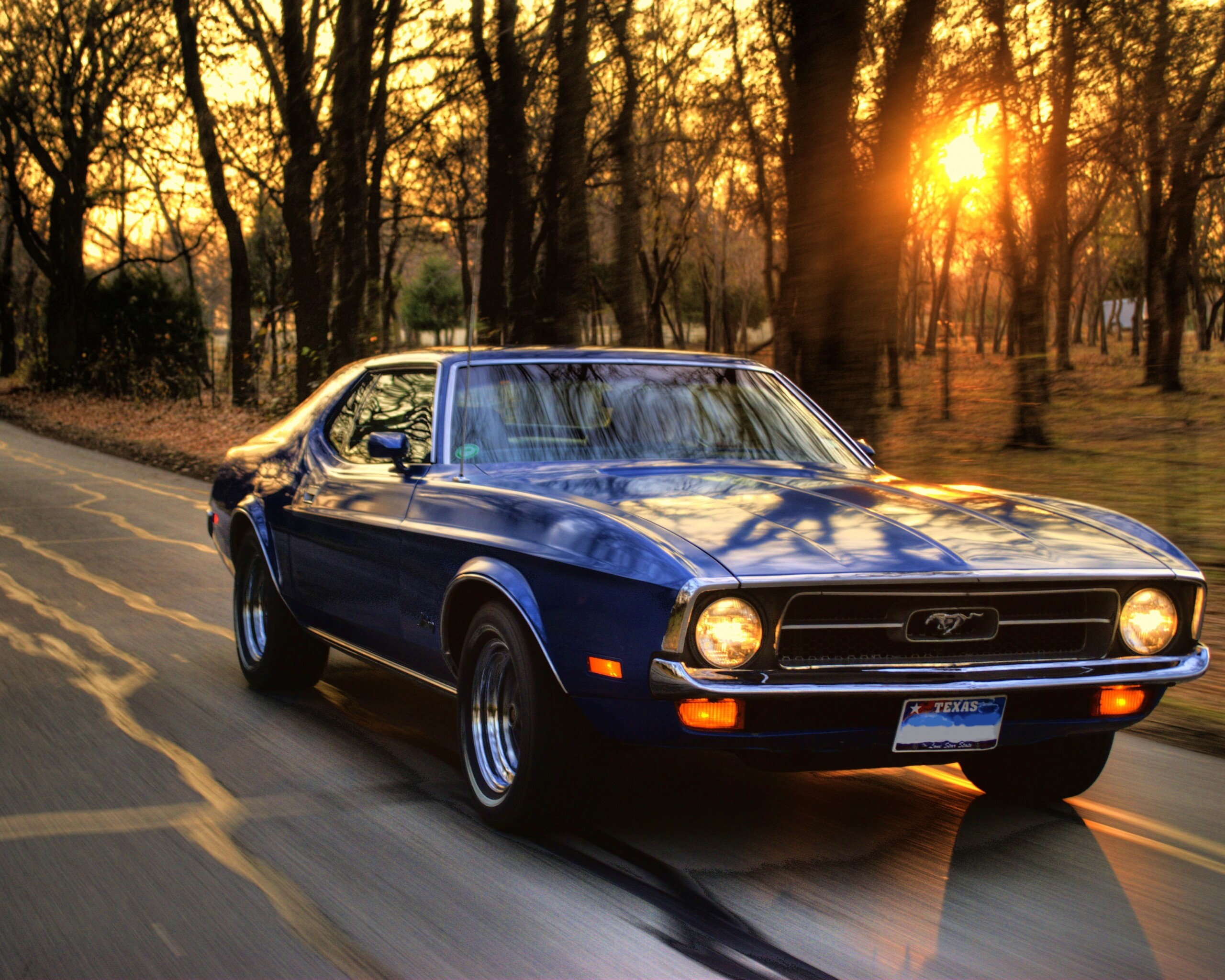 Мустанг обои