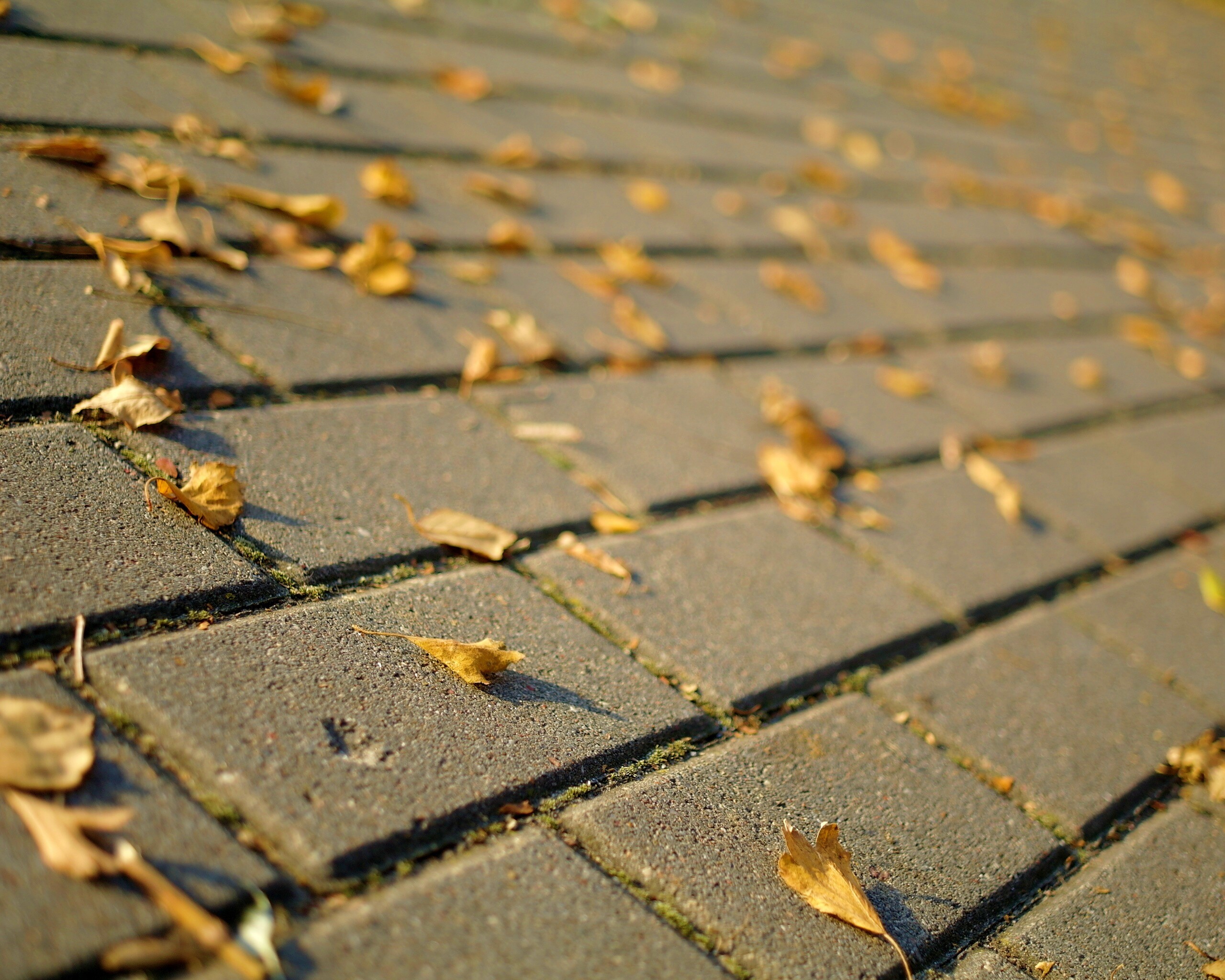 Тротуар обои