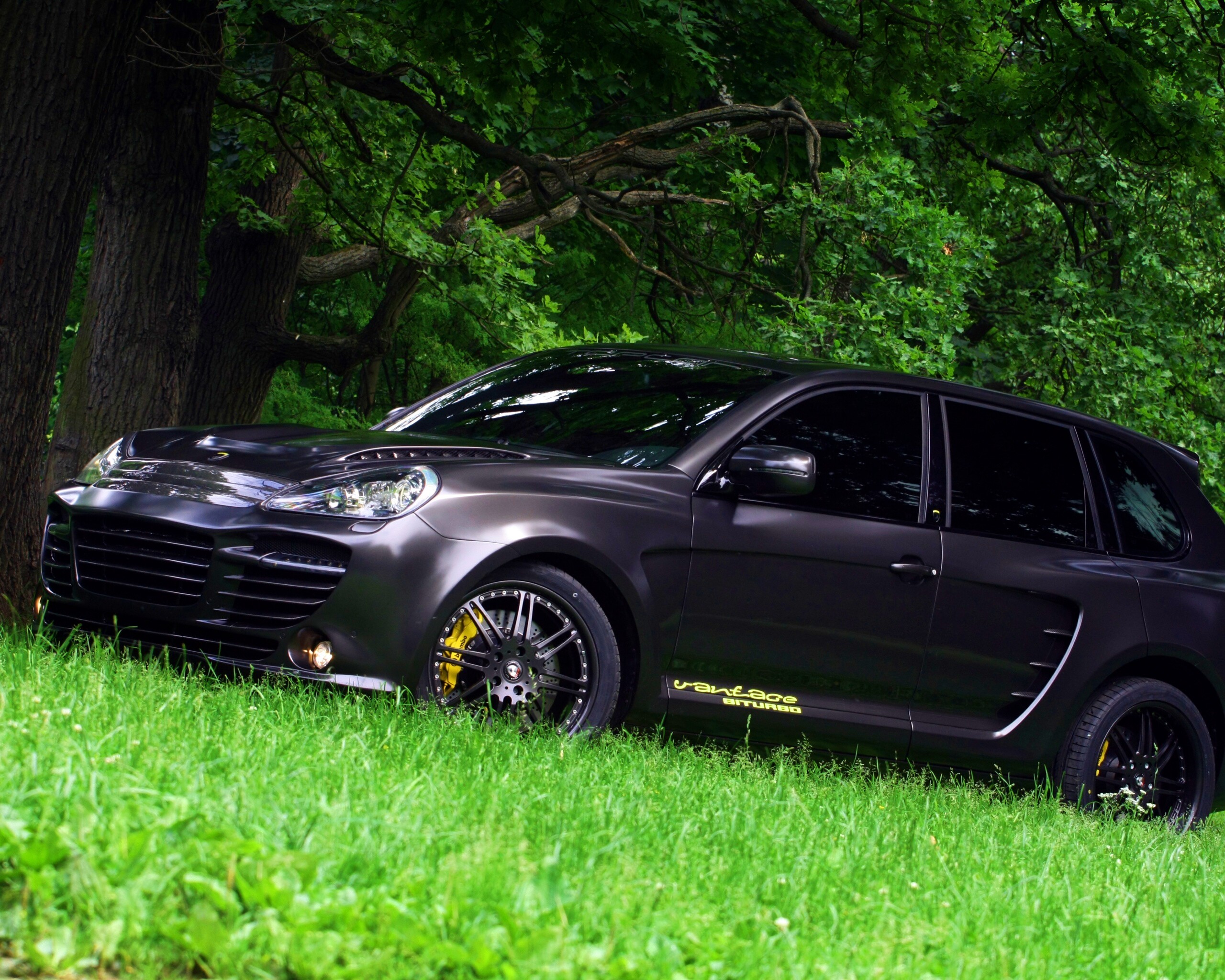 Концепт внедорожника в лесу обои