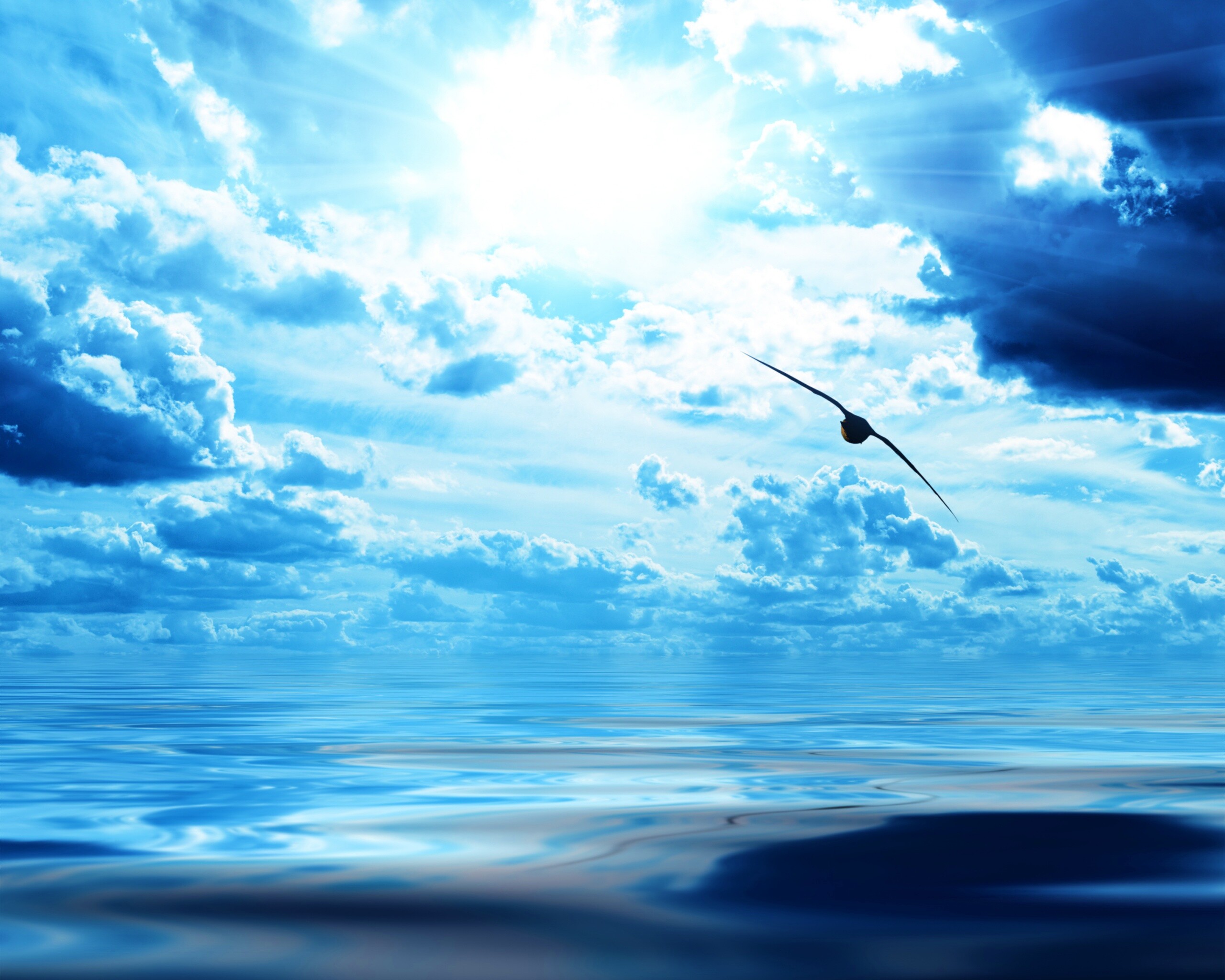 Лети как птица над волнами обои