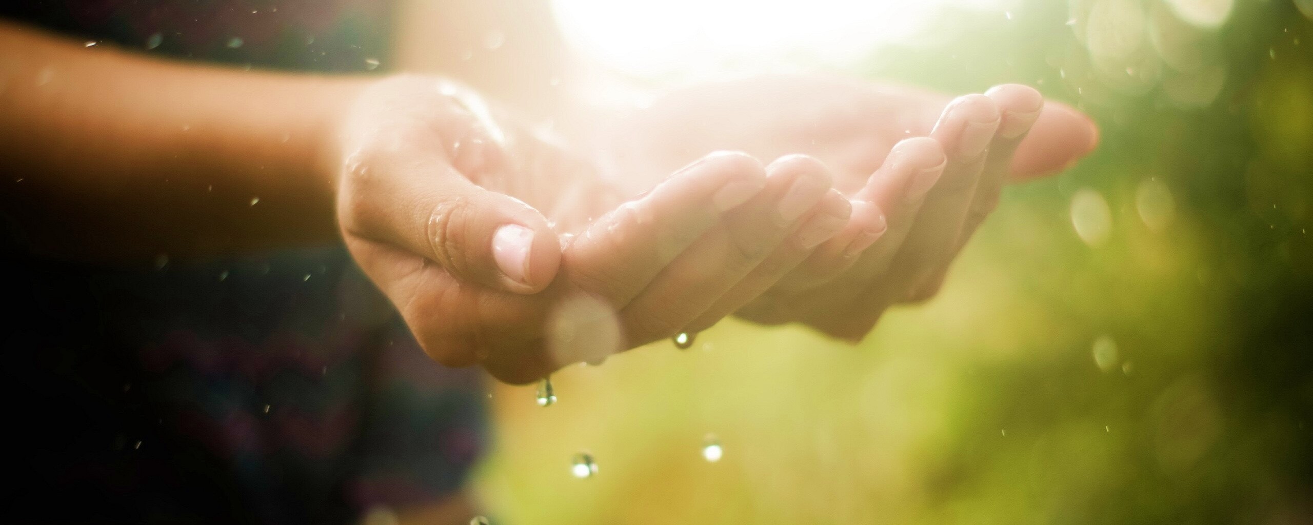 Дождь в ладонях обои