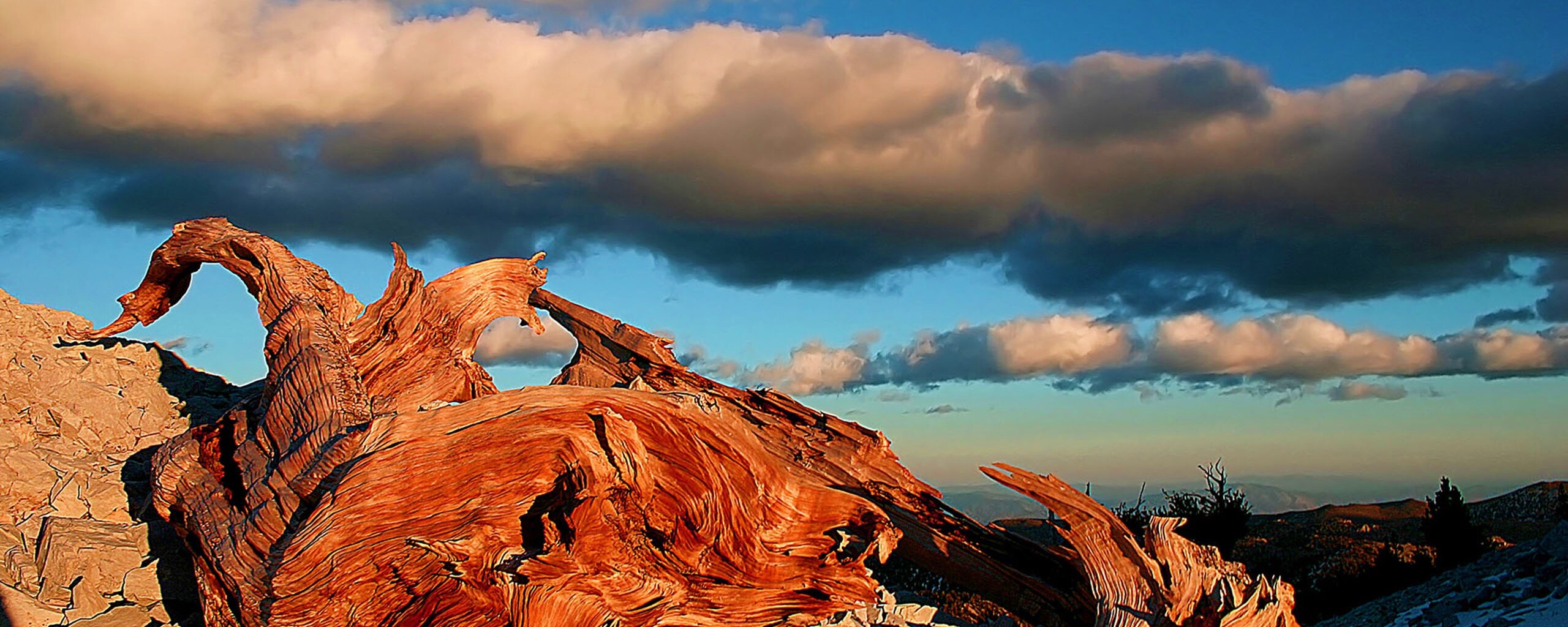 Прелести природы обои