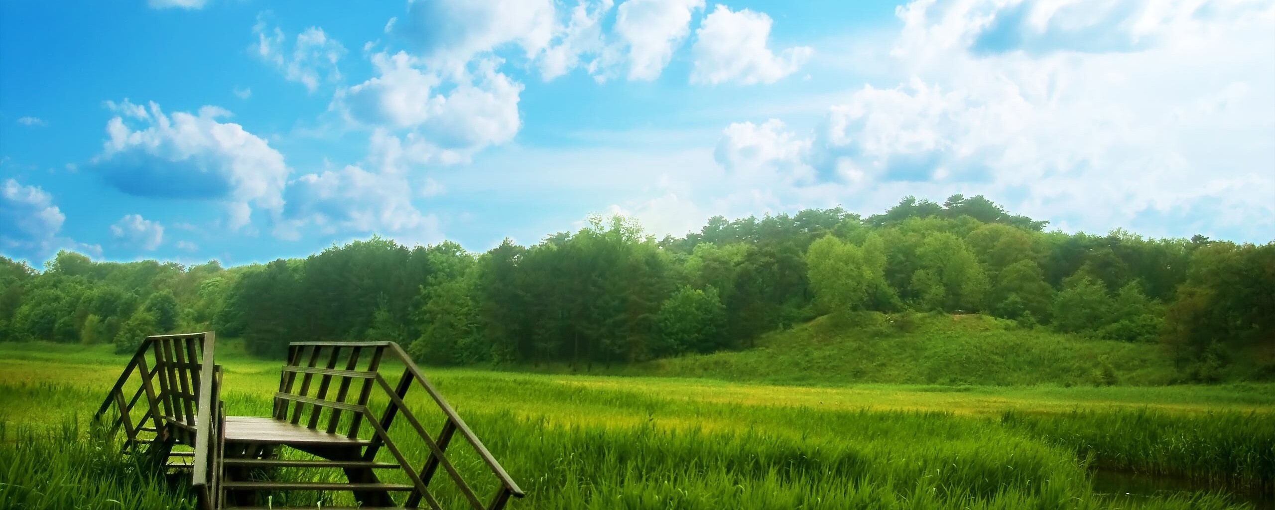 Мостик обои