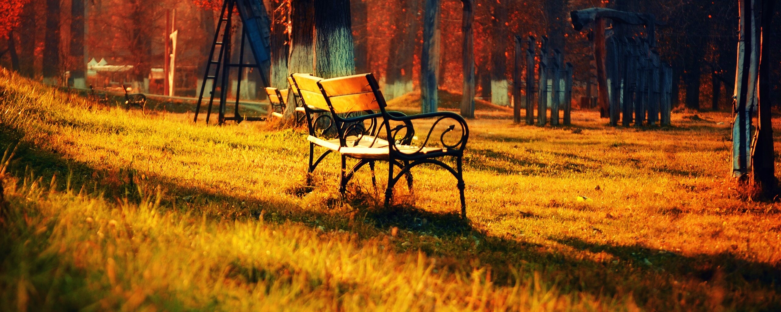 Скаймейка в осеннем парке обои