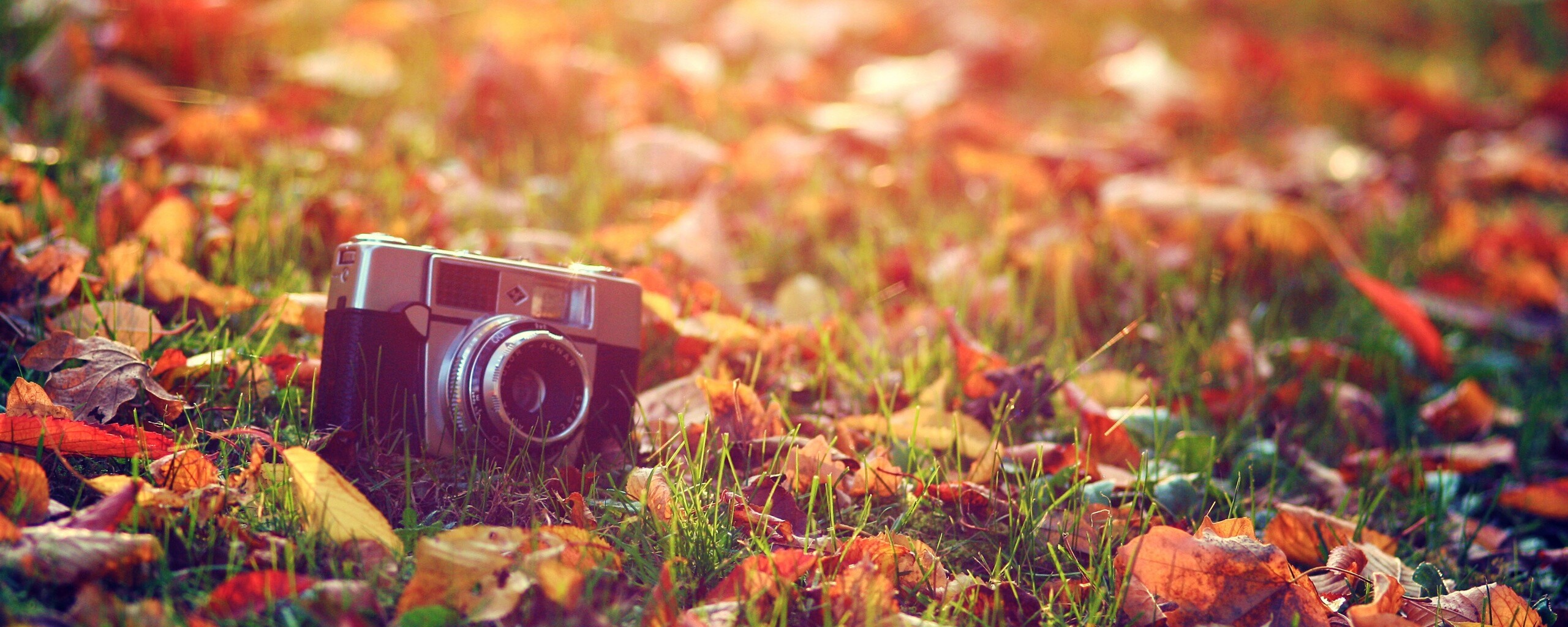 Старый фотоаппарат в траве обои