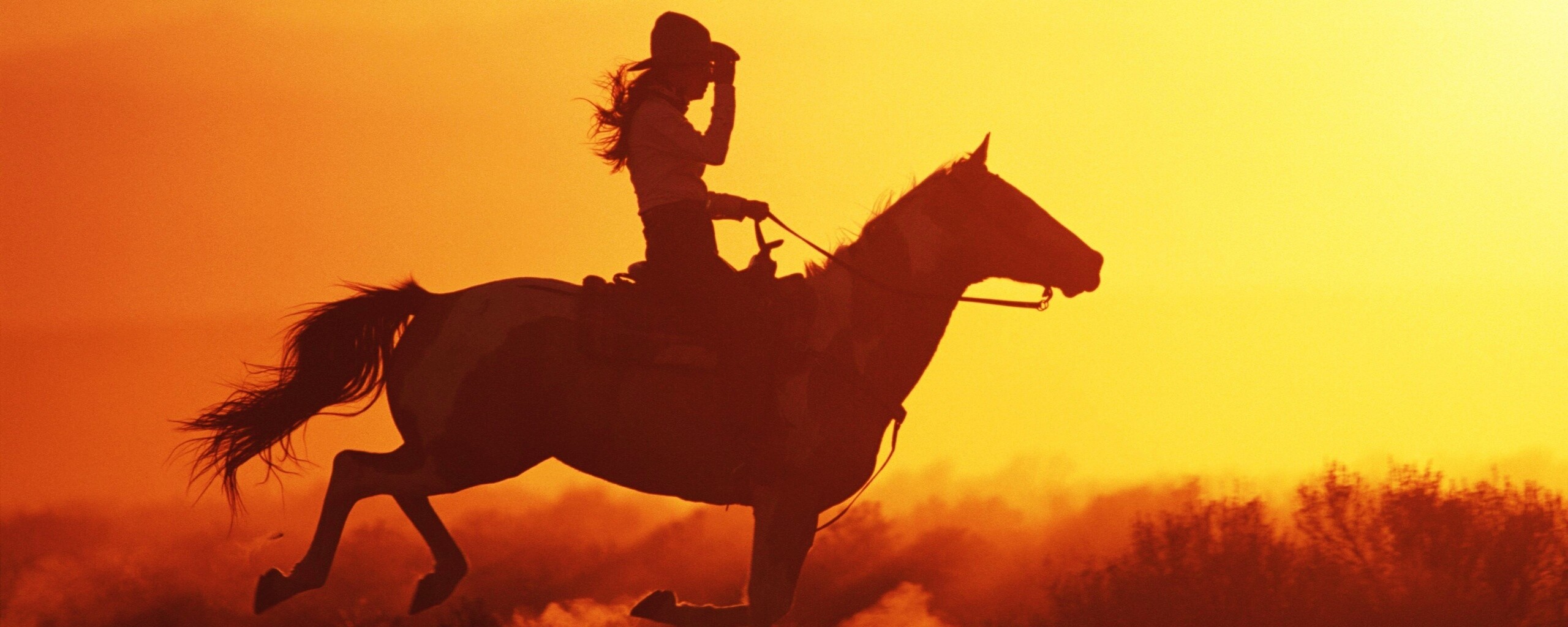 Наездница на закате обои