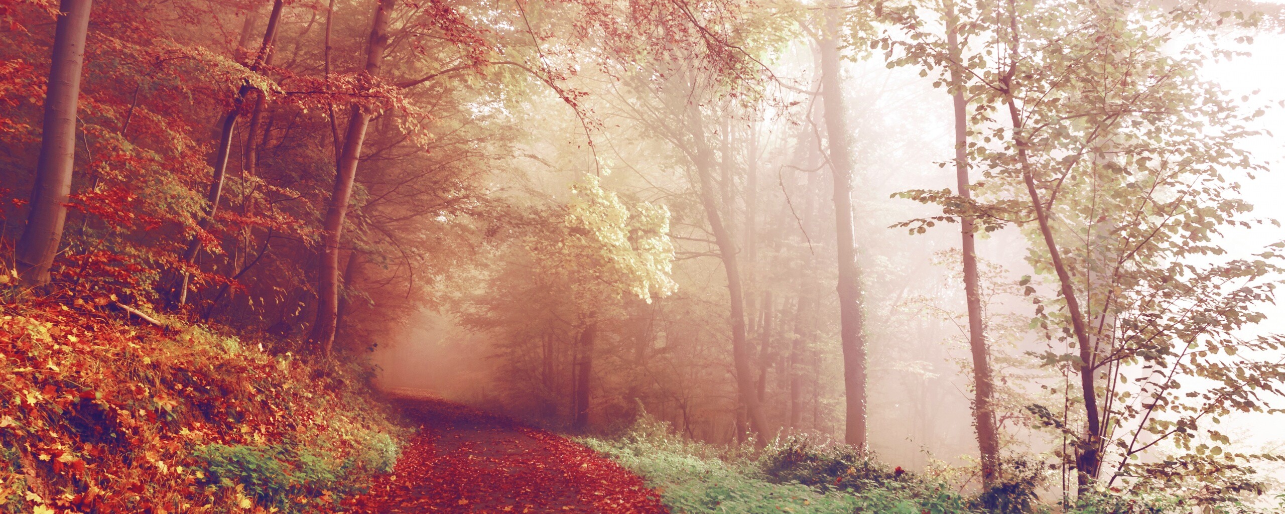 Осенний мистический пейзаж обои