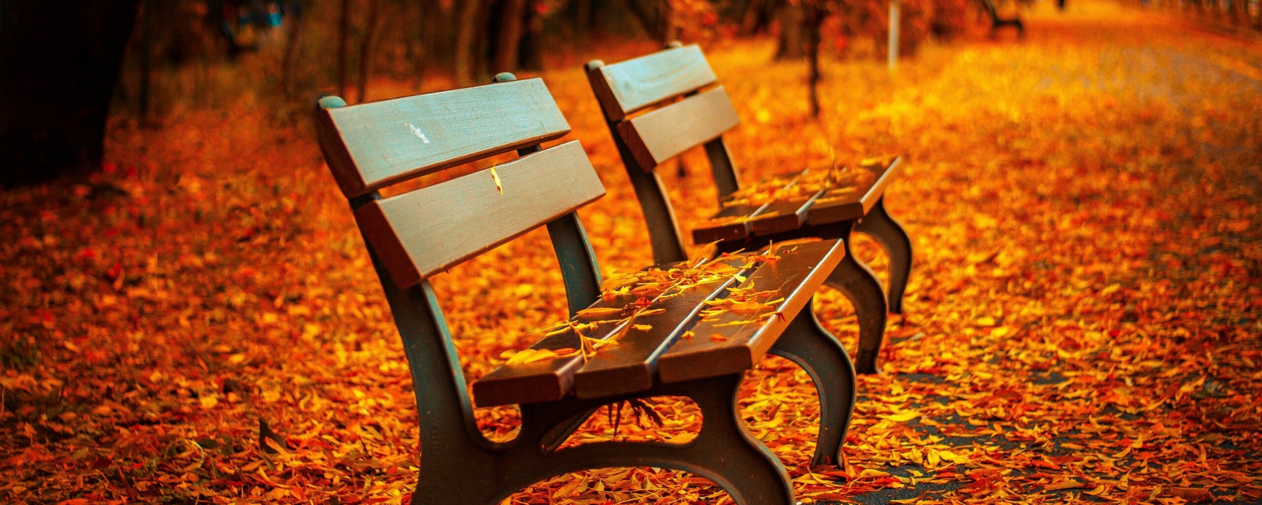 Лавочки в осеннем парке обои