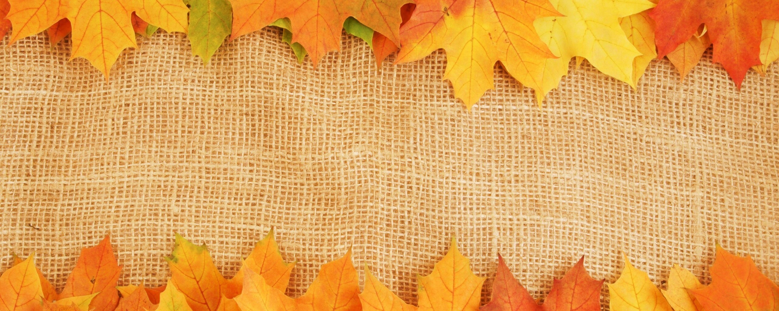 Желтые кленовые листья на холсте обои