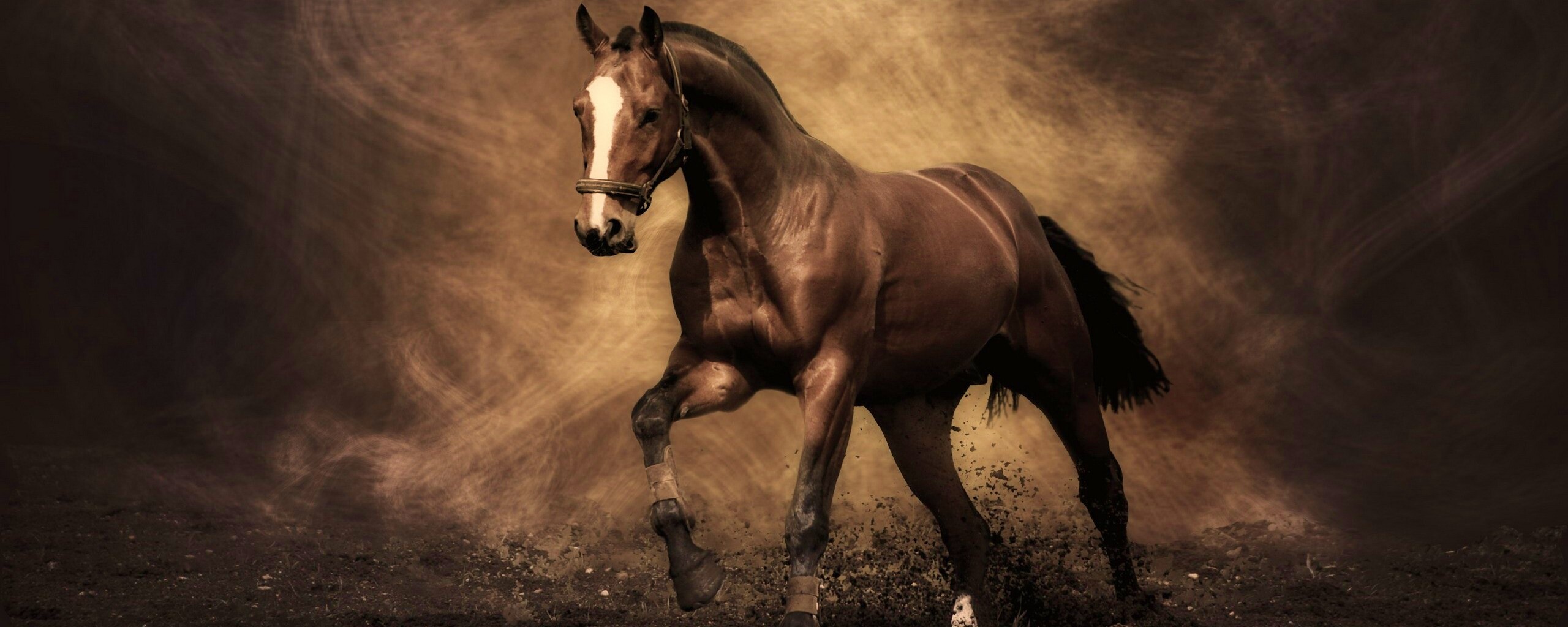 Лошадь обои