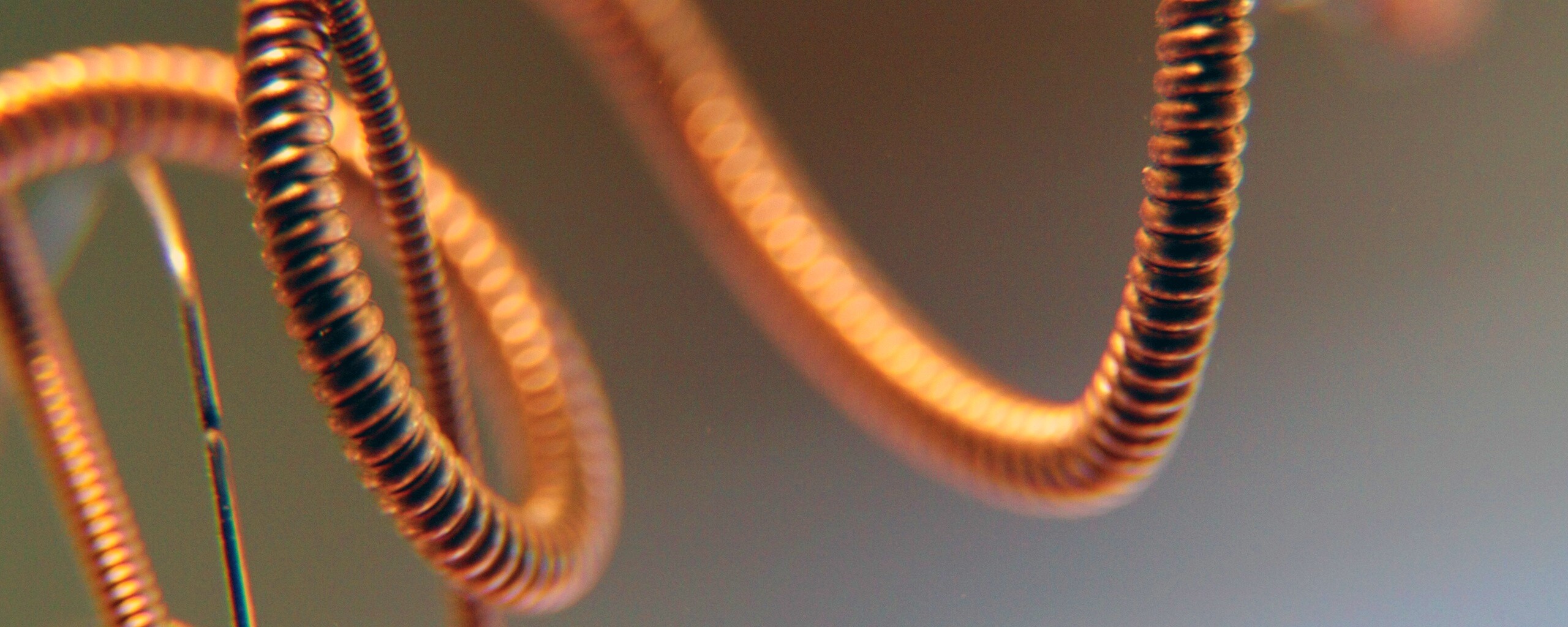 Пружина обои