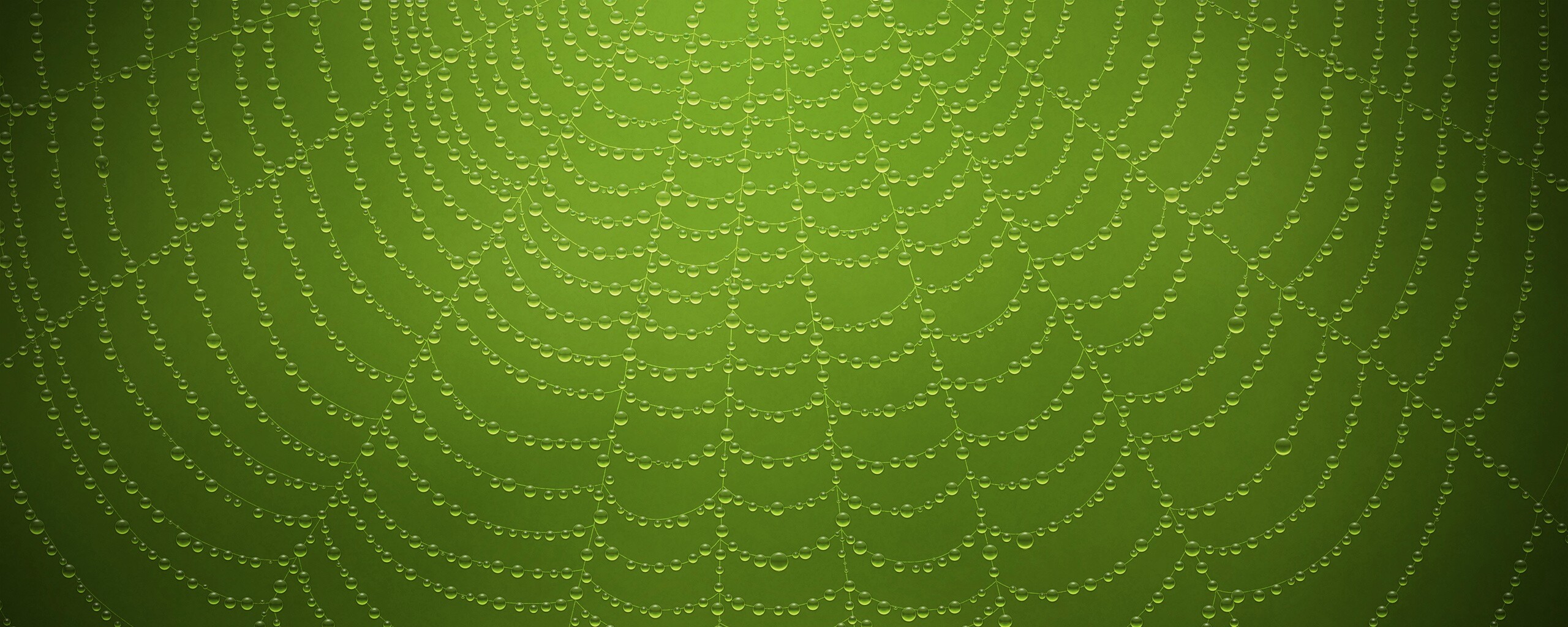 Роса на паутине обои